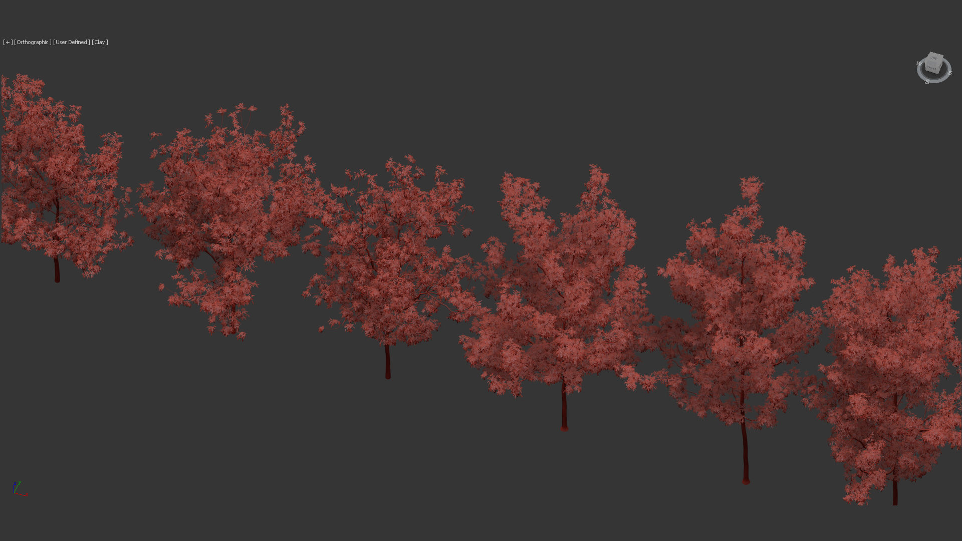 Fraxinus excelsior Common ash 3D model_12