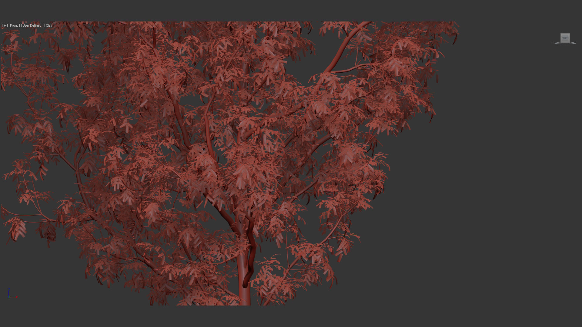 Fraxinus excelsior Common ash 3D model_10