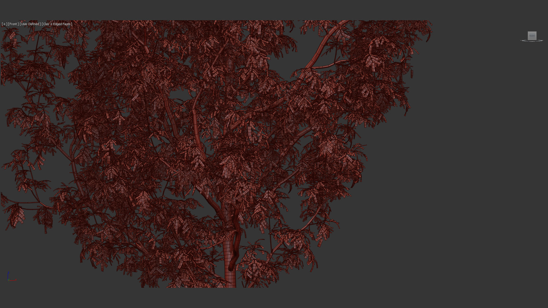 Fraxinus excelsior Common ash 3D model_11
