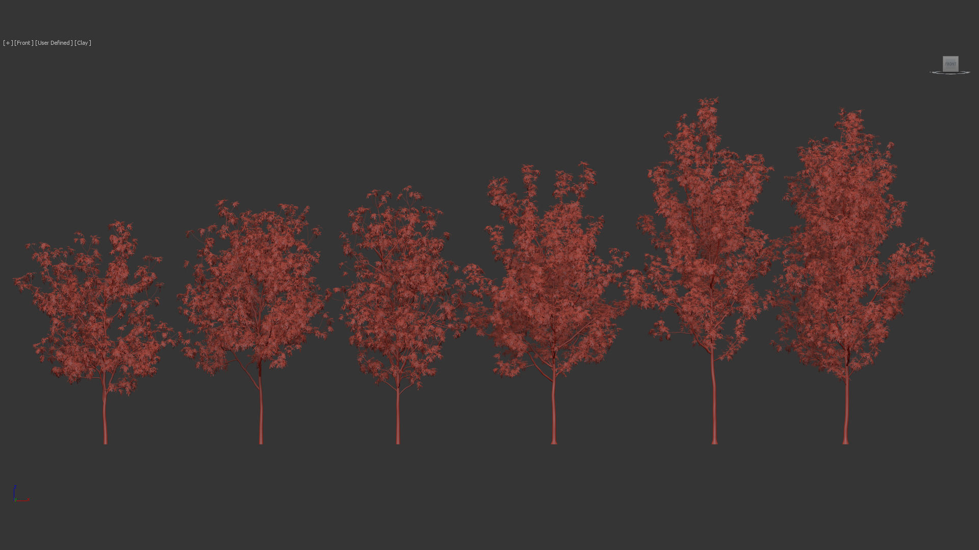 Fraxinus excelsior Common ash 3D model_9