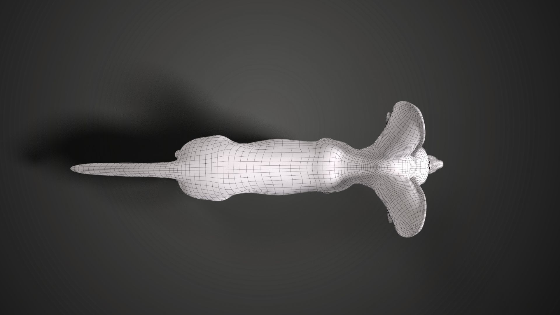 Fennec Fox Animated VFX Grace 3D model_21