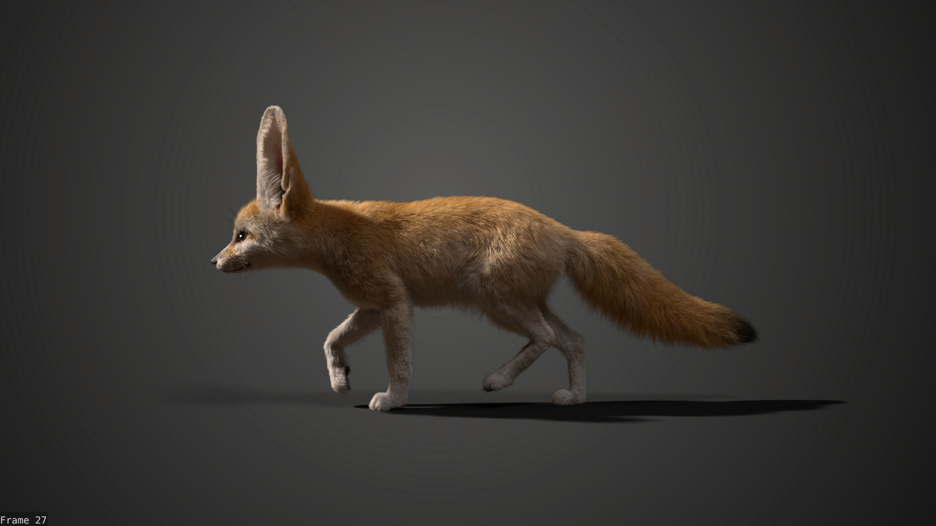 Fennec Fox Animated VFX Grace 3D model_11