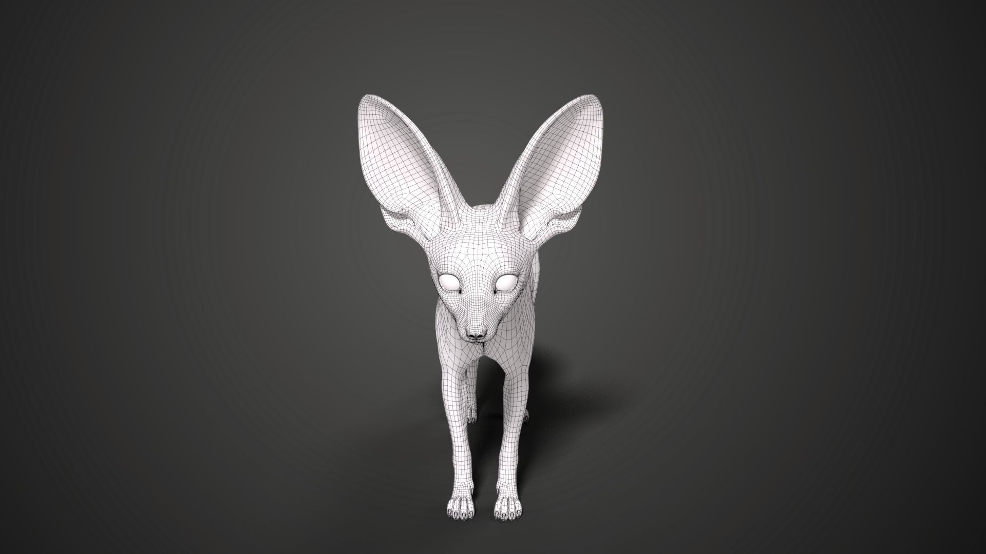 Fennec Fox Animated VFX Grace 3D model_20