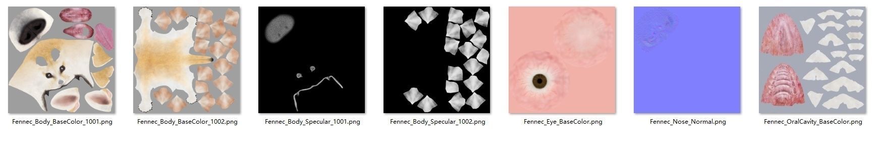 Fennec Fox Animated VFX Grace 3D model_22