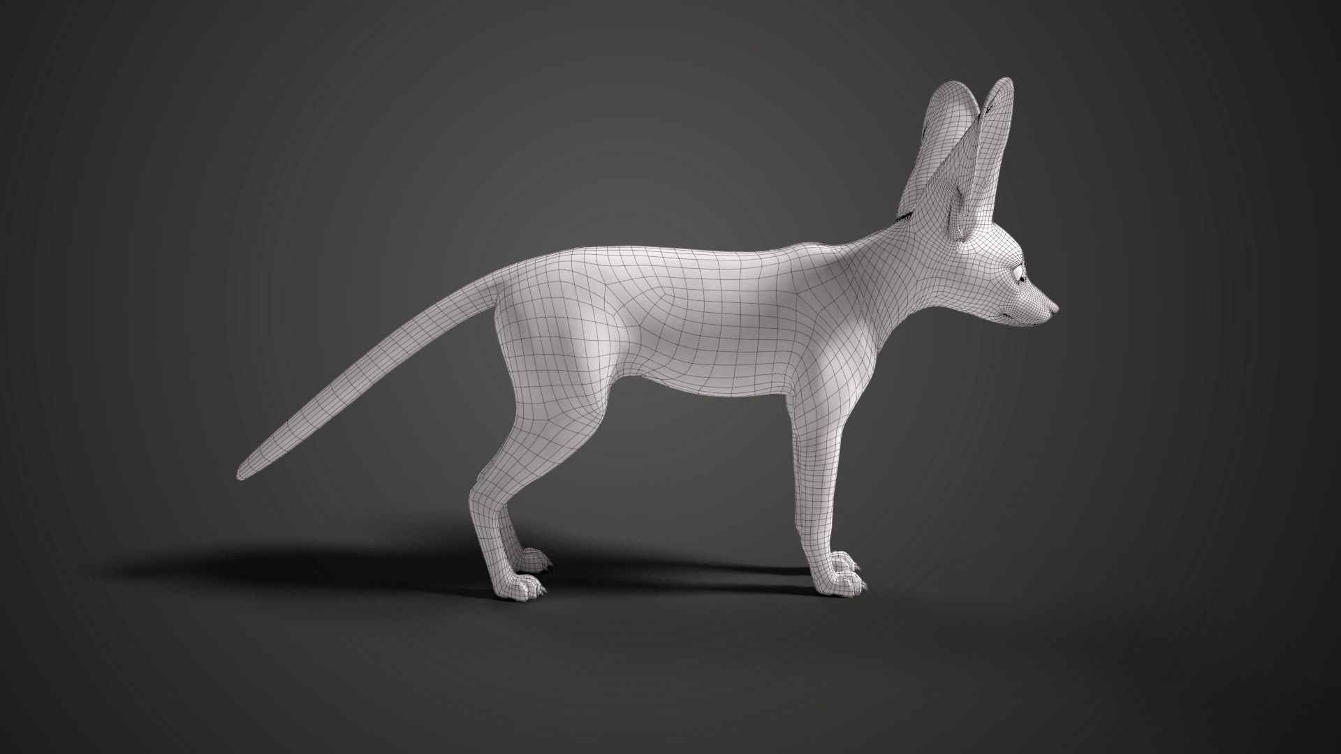 Fennec Fox Animated VFX Grace 3D model_18