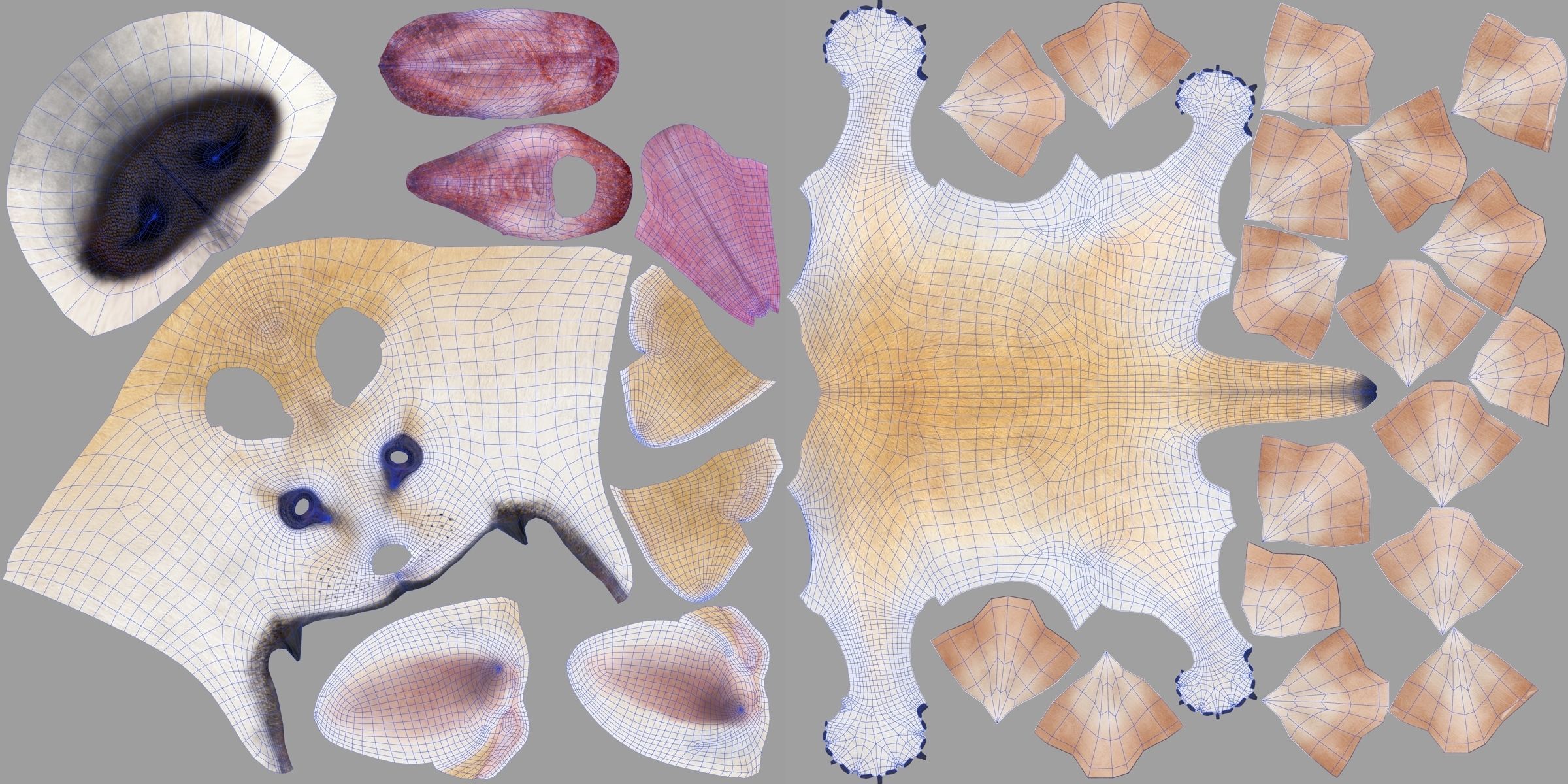 Fennec Fox Animated VFX Grace 3D model_24