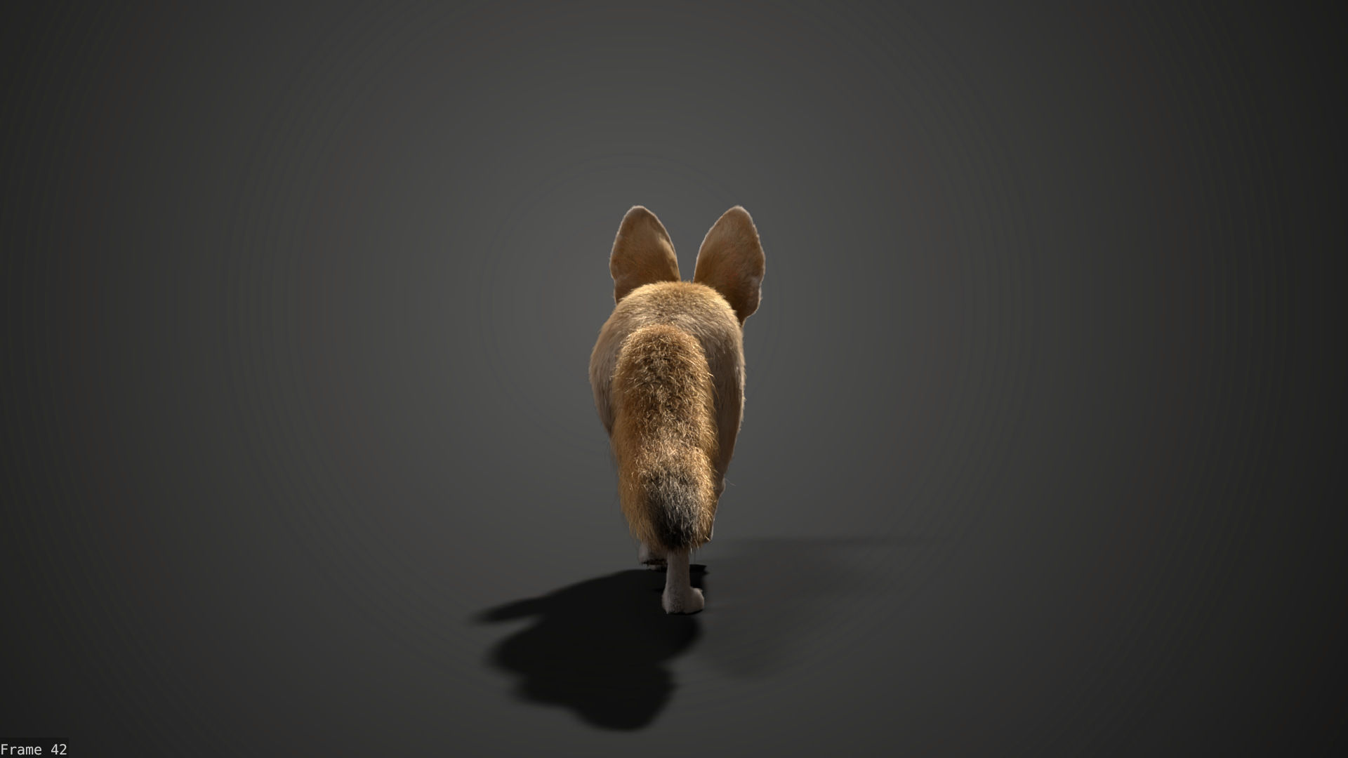 Fennec Fox Animated VFX Grace 3D model_13