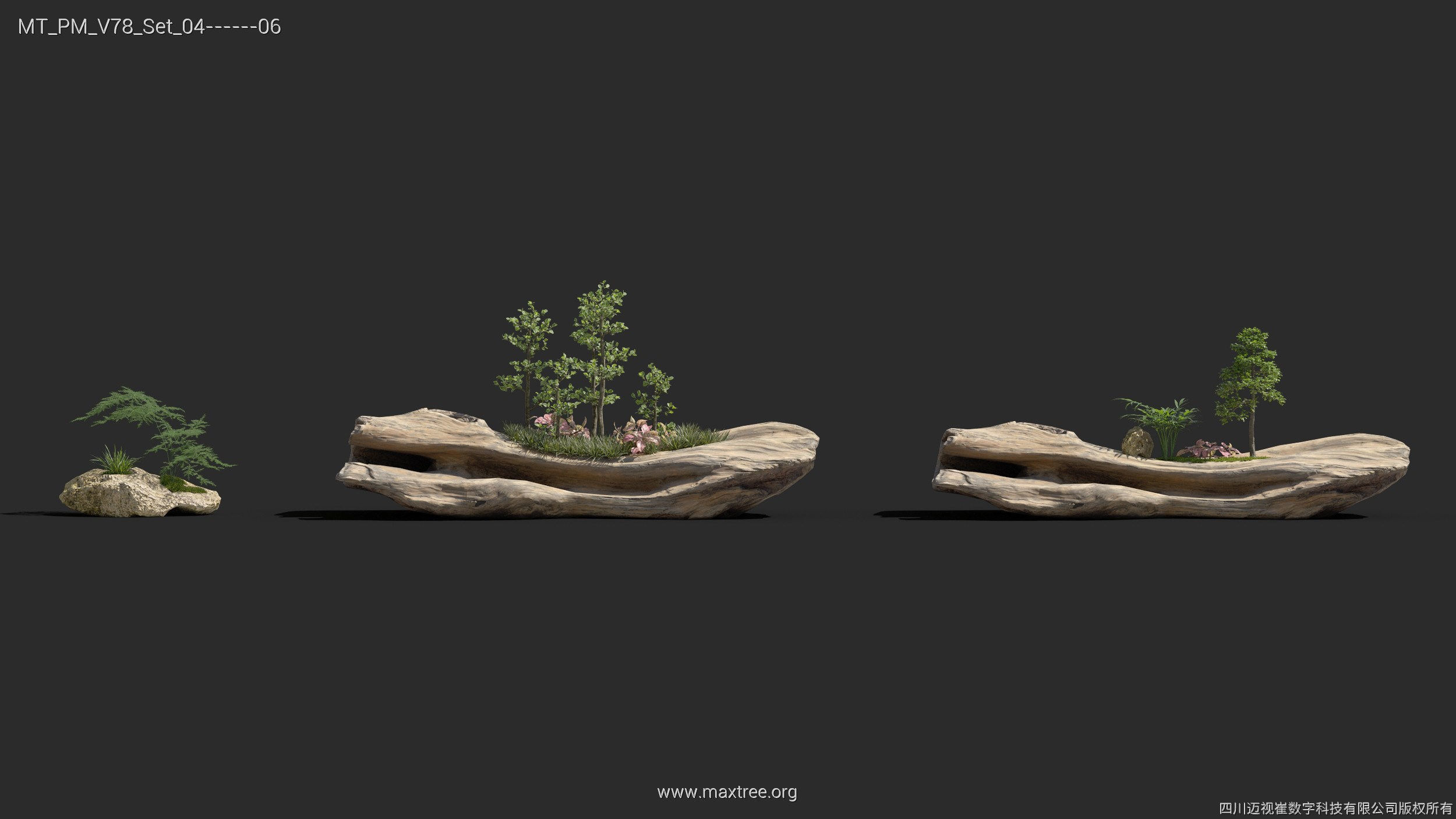 Maxtree Plant Models Vol 78 - Mesh 3D model_28