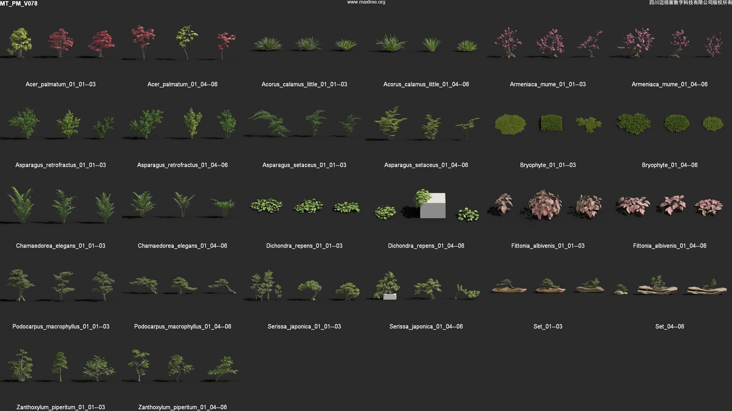 Maxtree Plant Models Vol 78 - Mesh 3D model_4