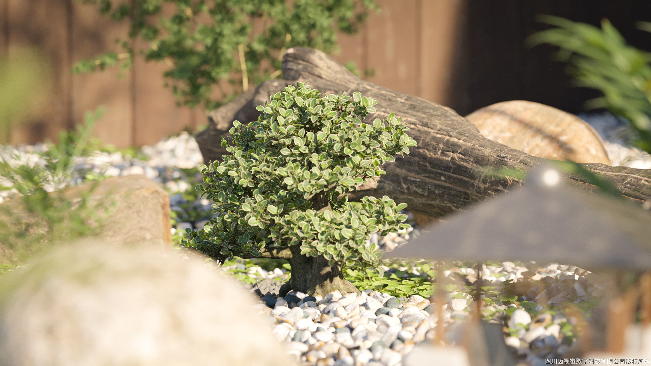 Maxtree Plant Models Vol 78 - Mesh 3D model_2