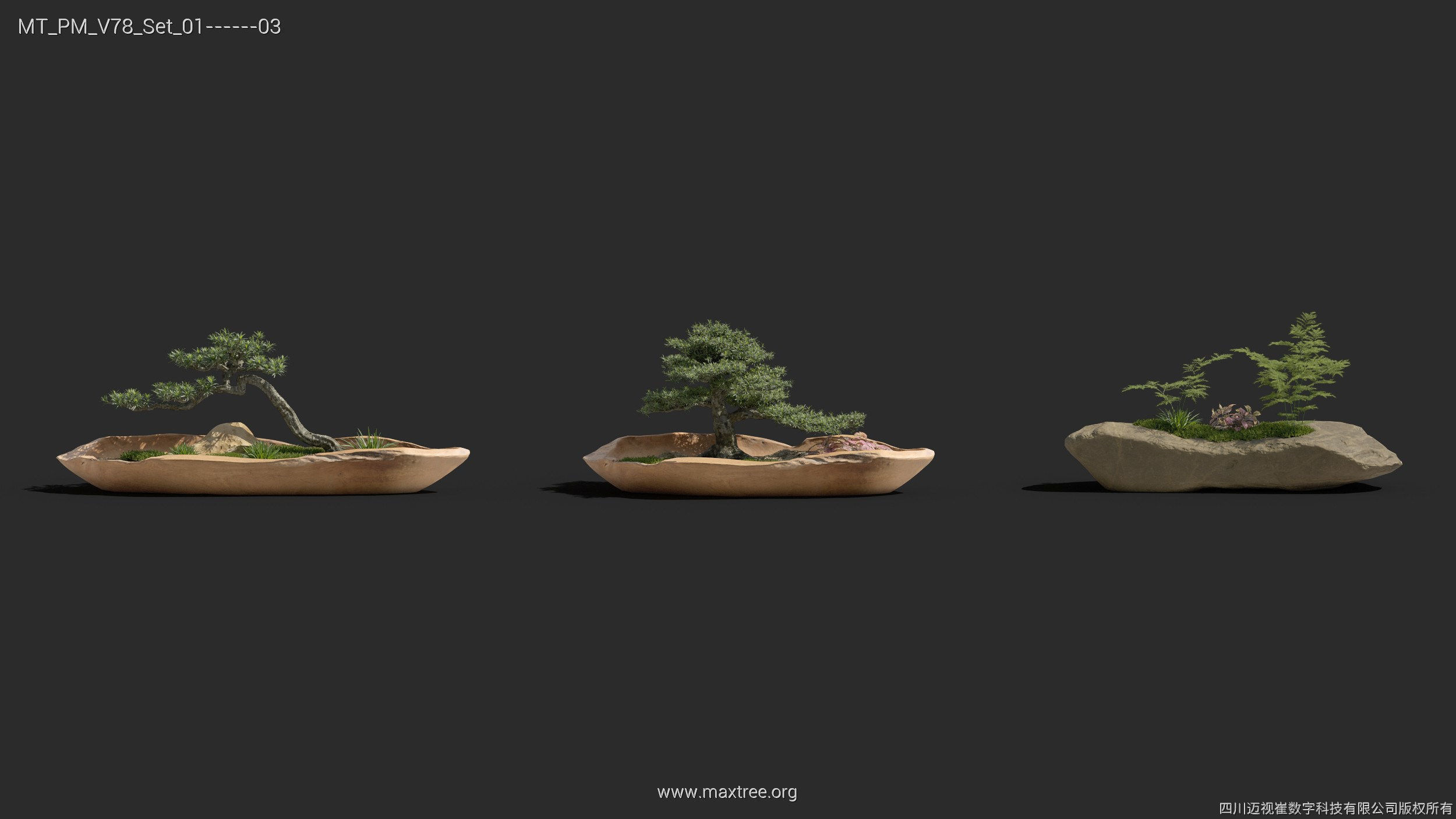 Maxtree Plant Models Vol 78 - Mesh 3D model_27