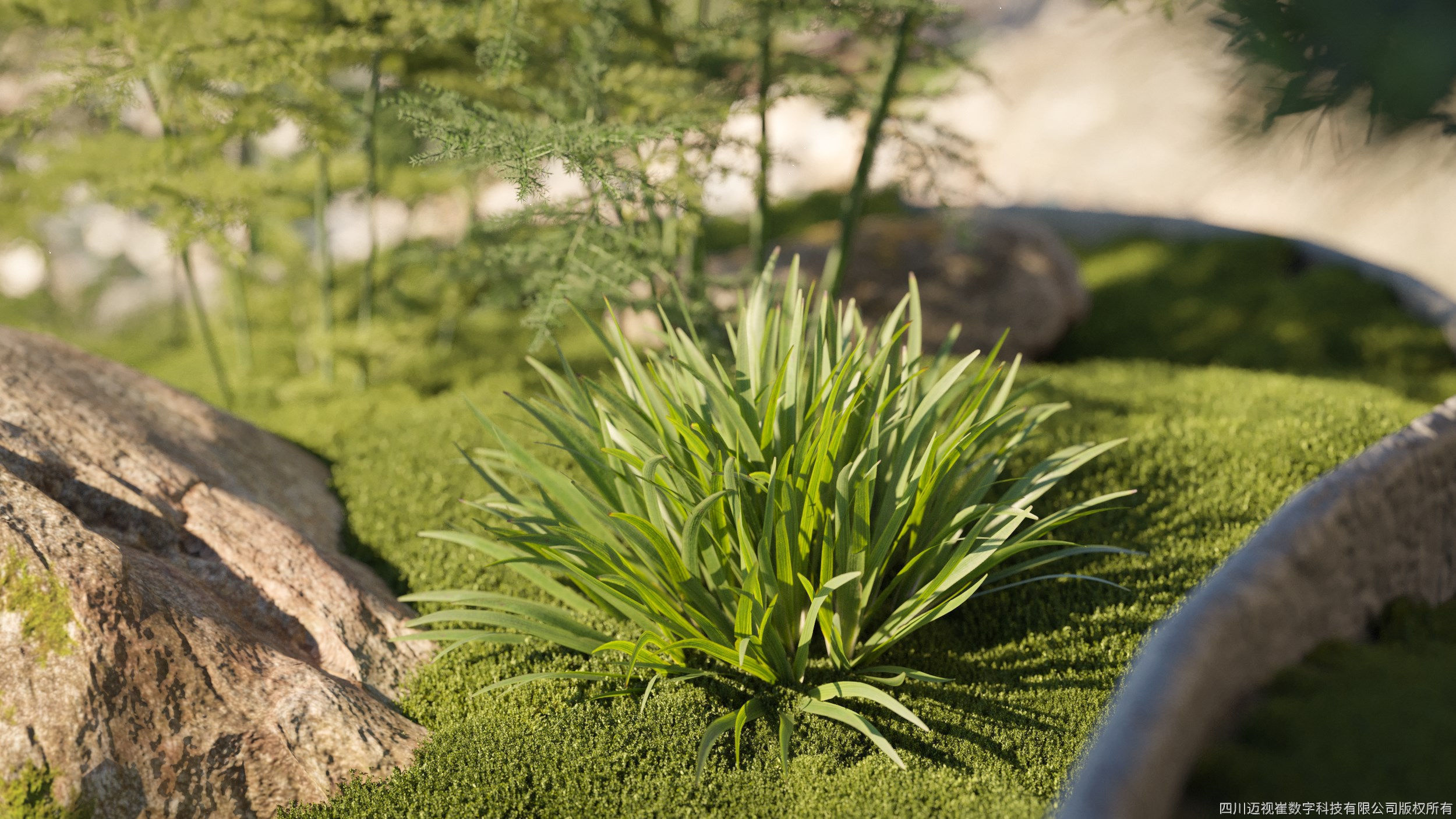 Maxtree Plant Models Vol 78 - Mesh 3D model_1