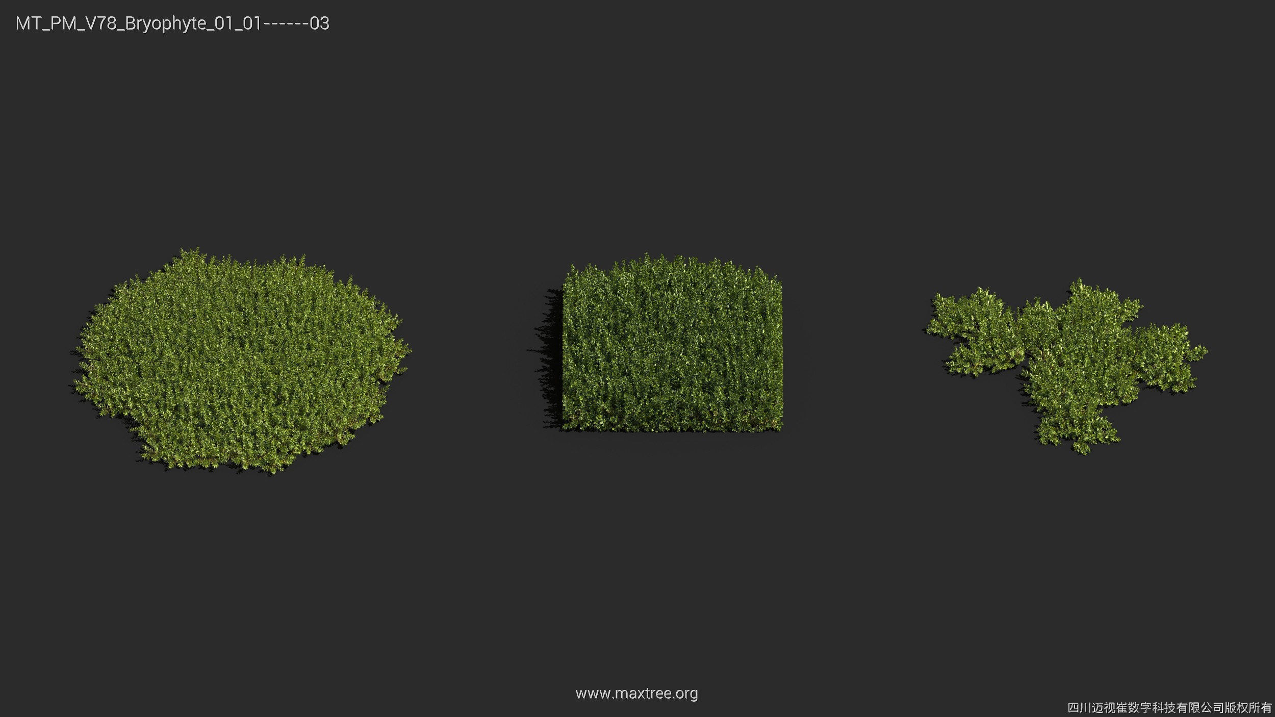 Maxtree Plant Models Vol 78 - Mesh 3D model_15