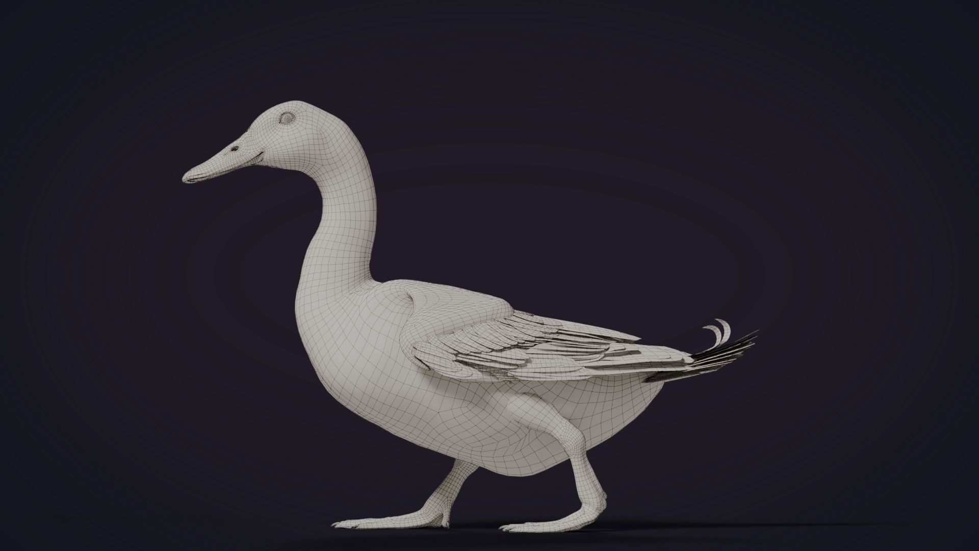 Duck Animated VFX Grace 3D model_30
