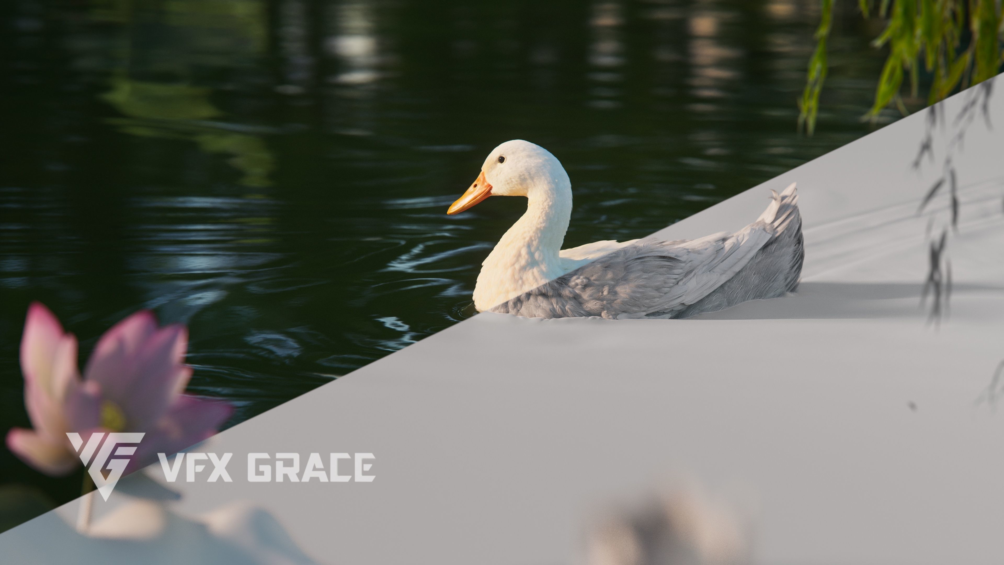 Duck Animated VFX Grace 3D model_9