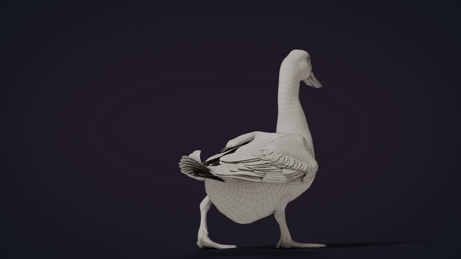 Duck Animated VFX Grace 3D model_31