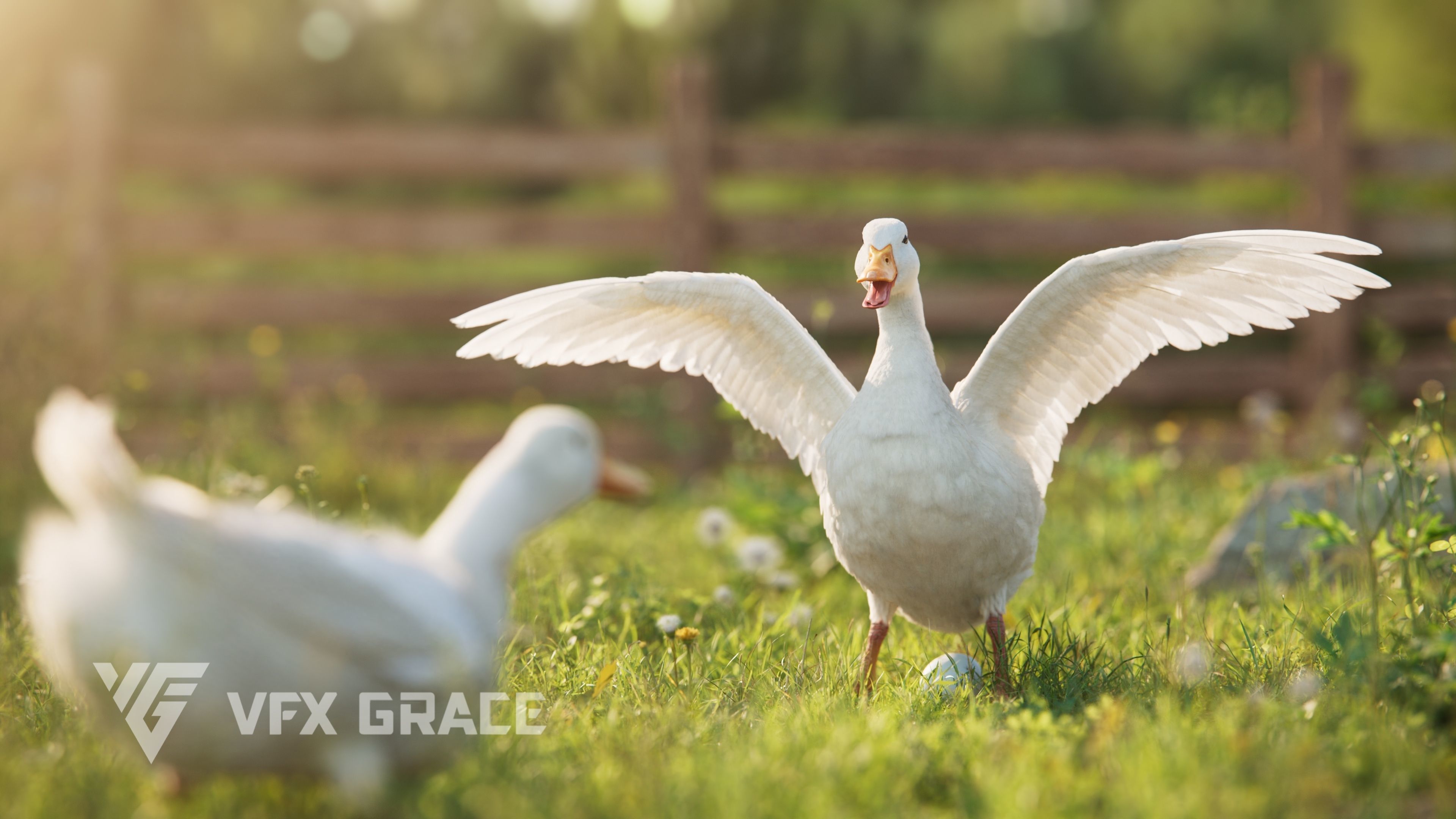 Duck Animated VFX Grace 3D model_10