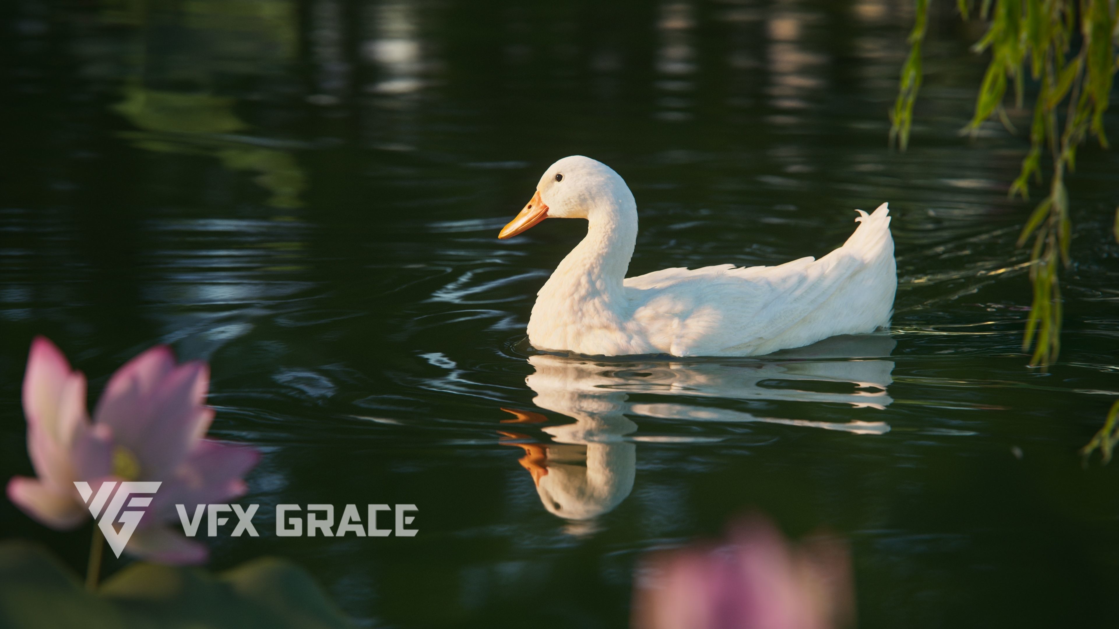 Duck Animated VFX Grace 3D model_8