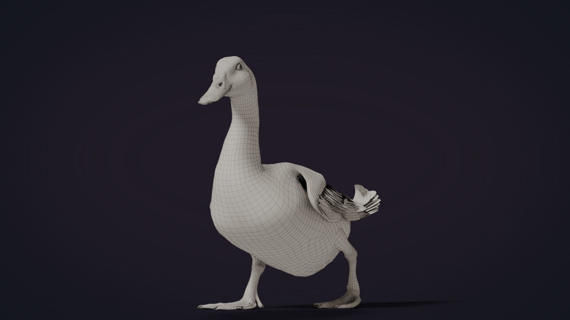 Duck Animated VFX Grace 3D model_32