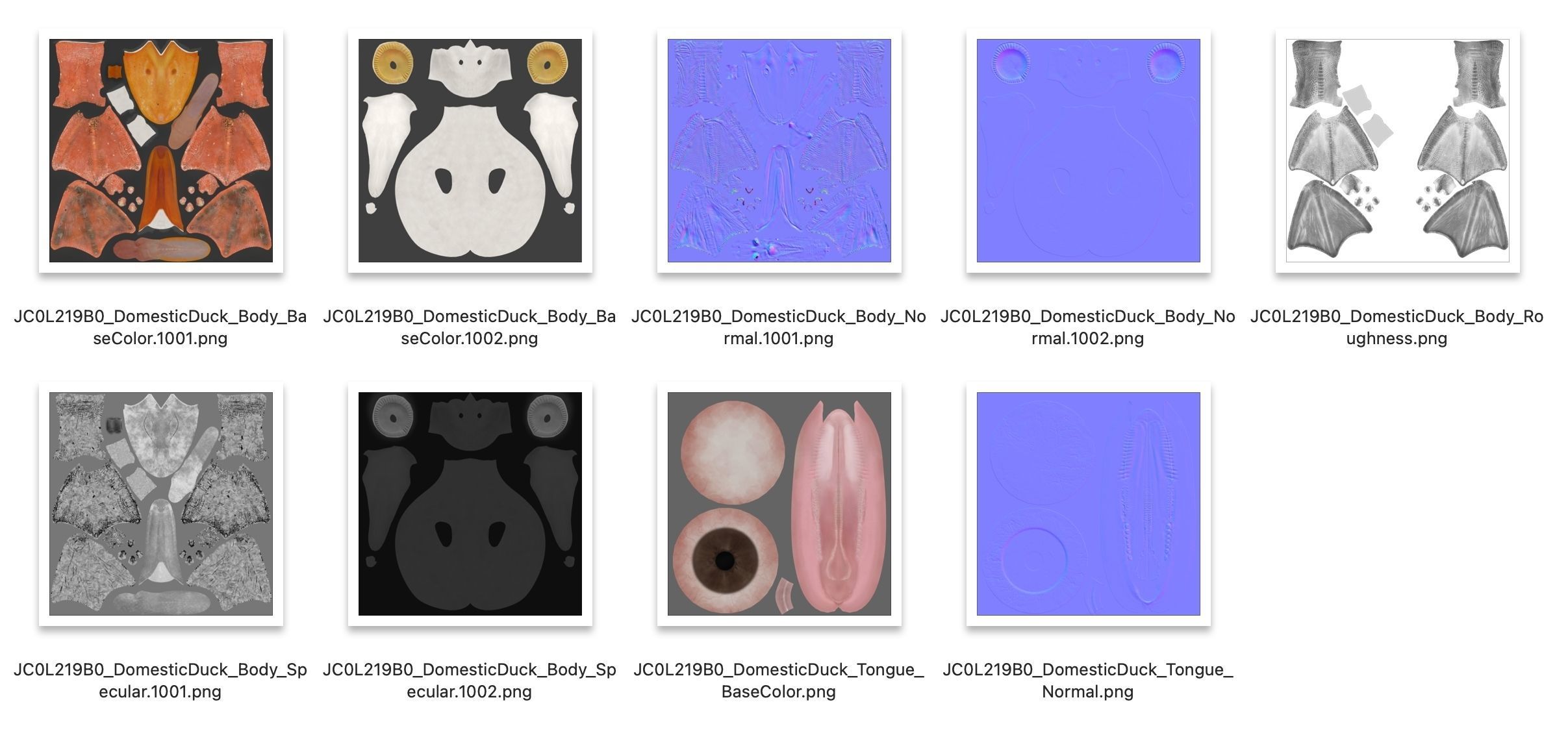 Duck Animated VFX Grace 3D model_36