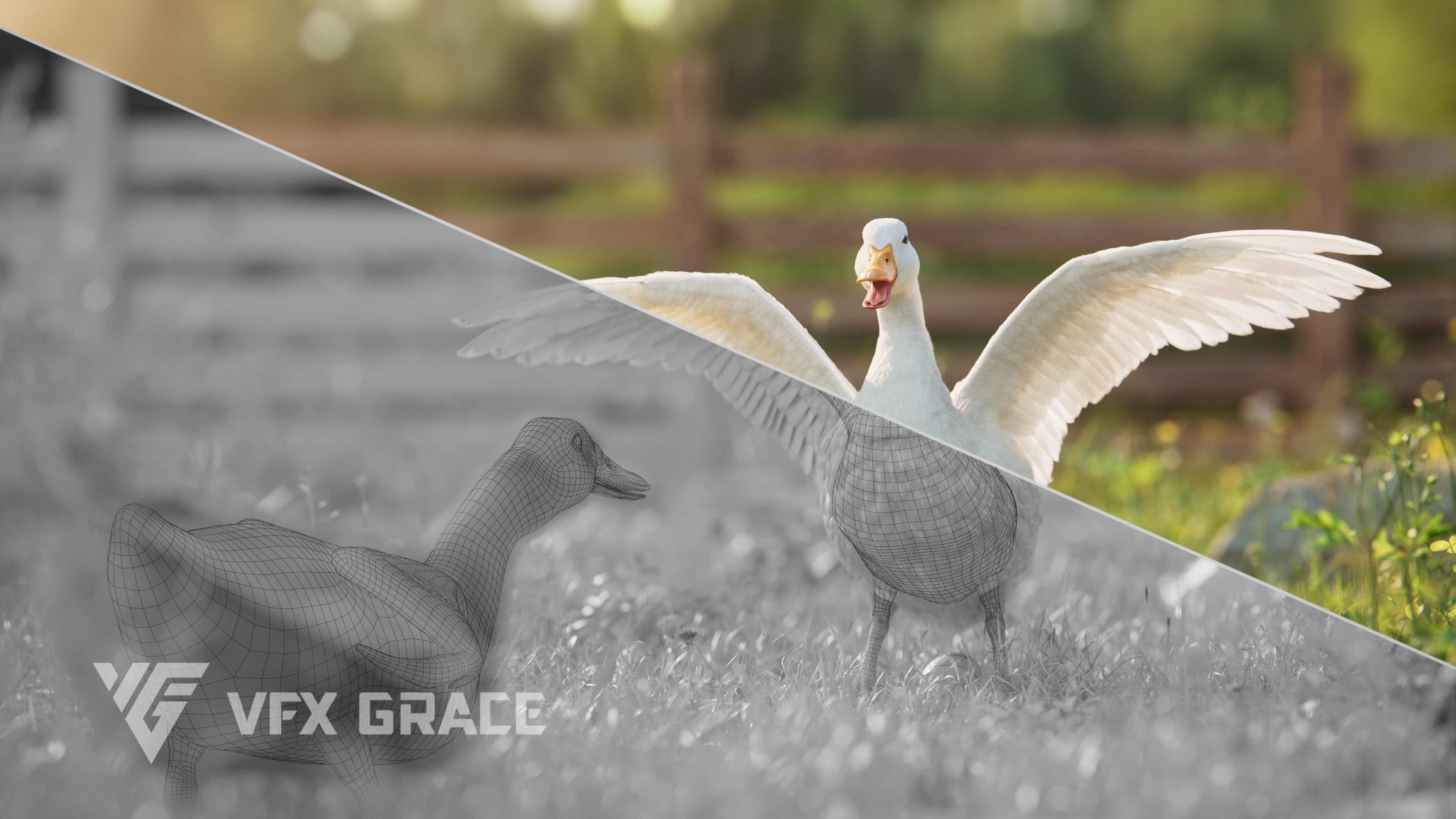 Duck Animated VFX Grace 3D model_11