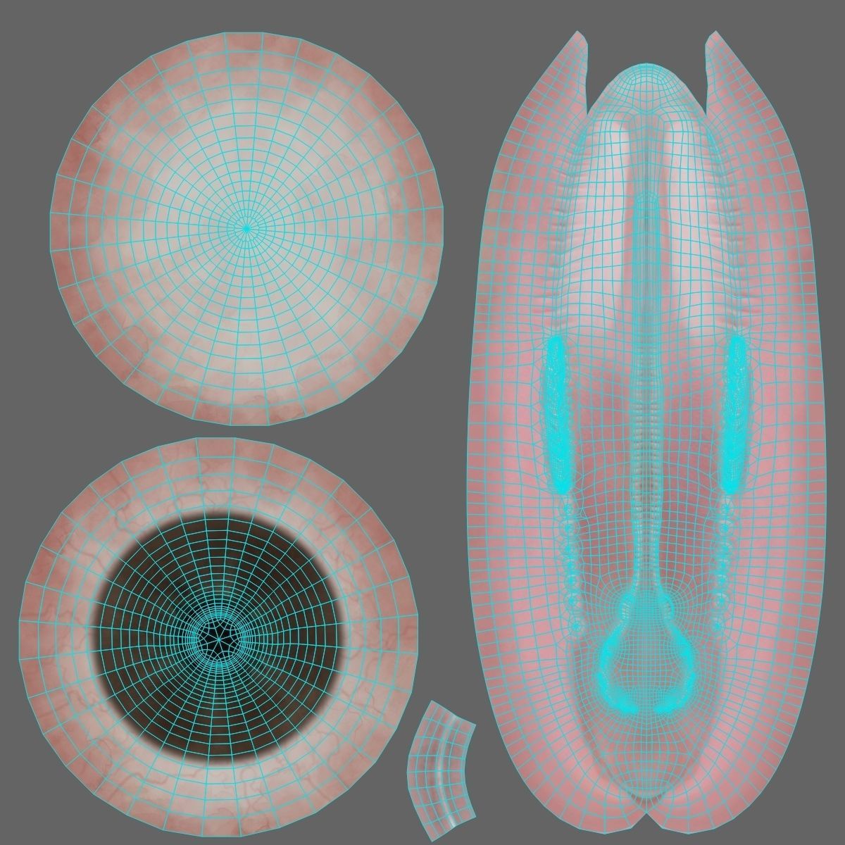 Duck Animated VFX Grace 3D model_35