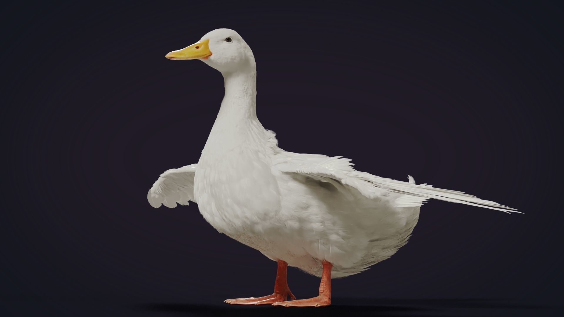 Duck Animated VFX Grace 3D model_25