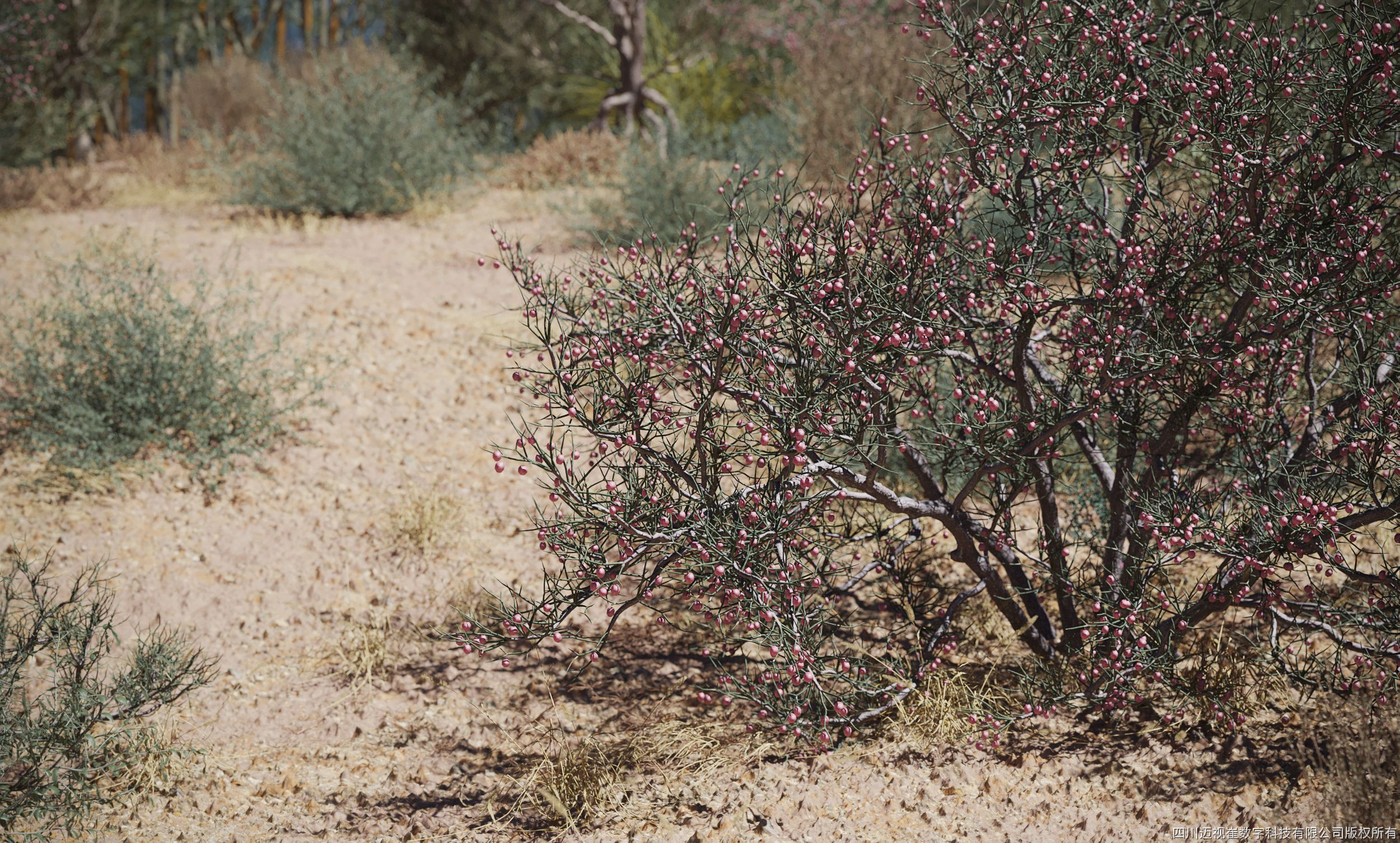 Maxtree Plant Models Vol 79 - Mesh 3D model_1