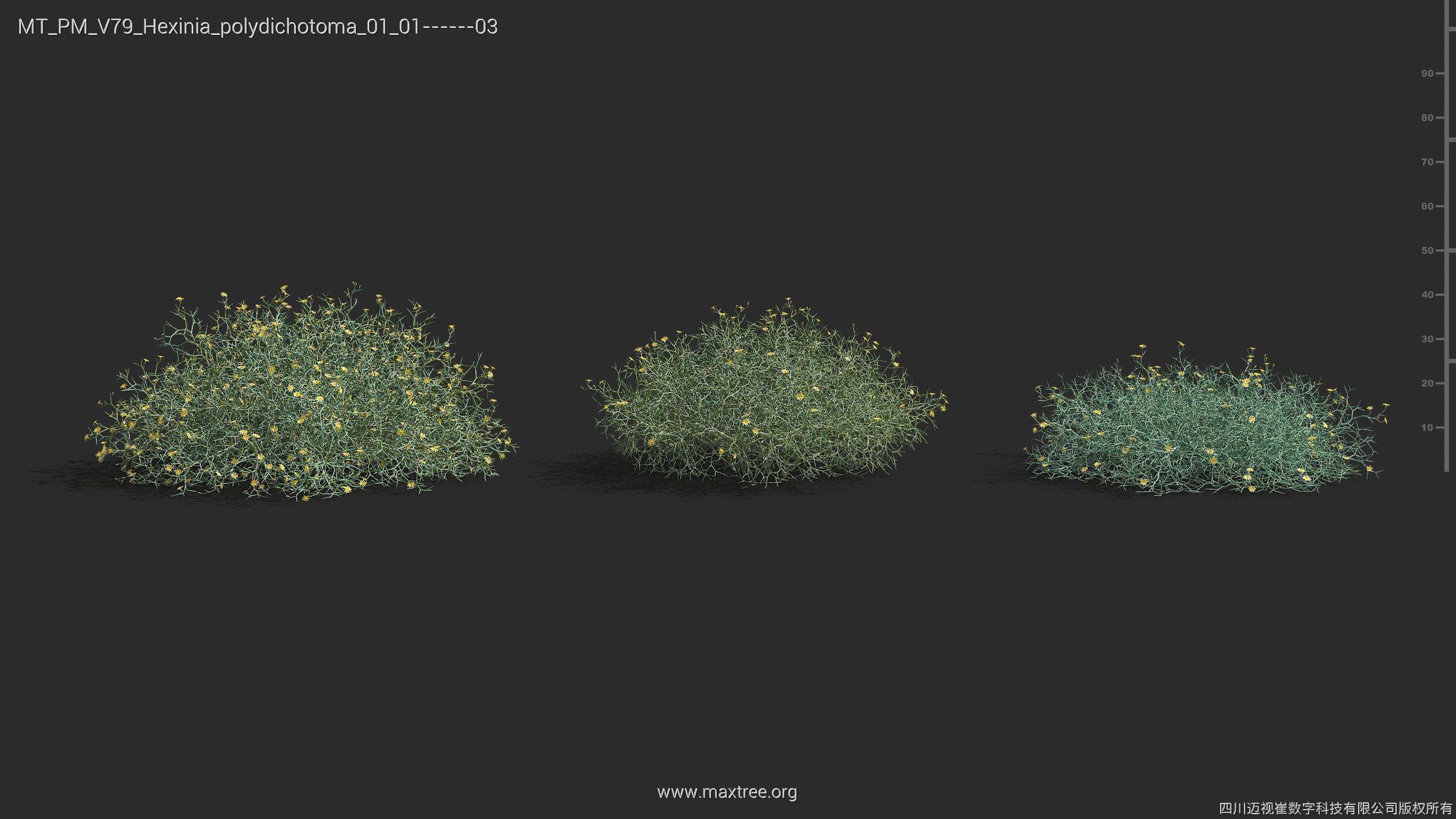Maxtree Plant Models Vol 79 - Mesh 3D model_18
