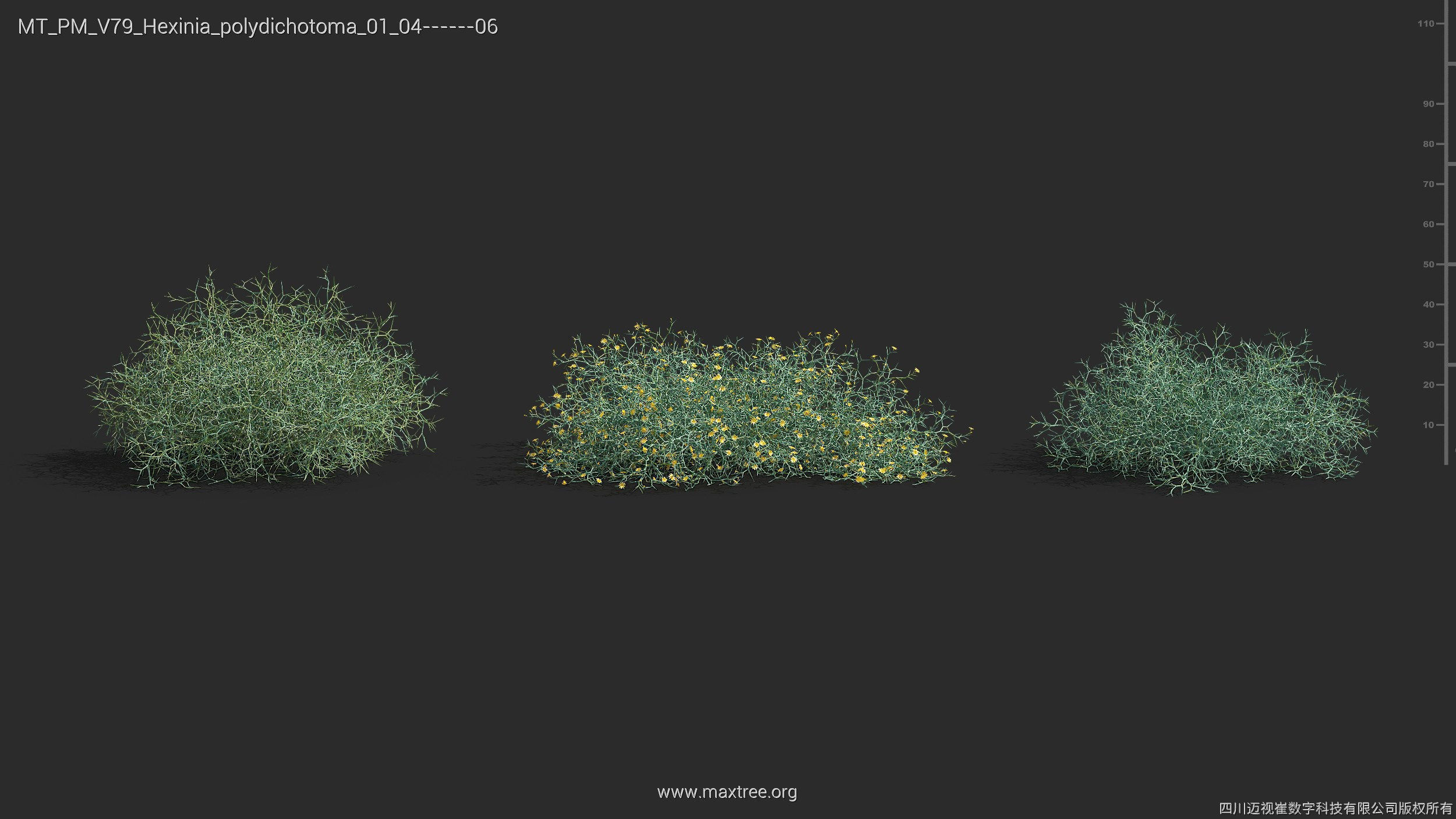 Maxtree Plant Models Vol 79 - Mesh 3D model_19