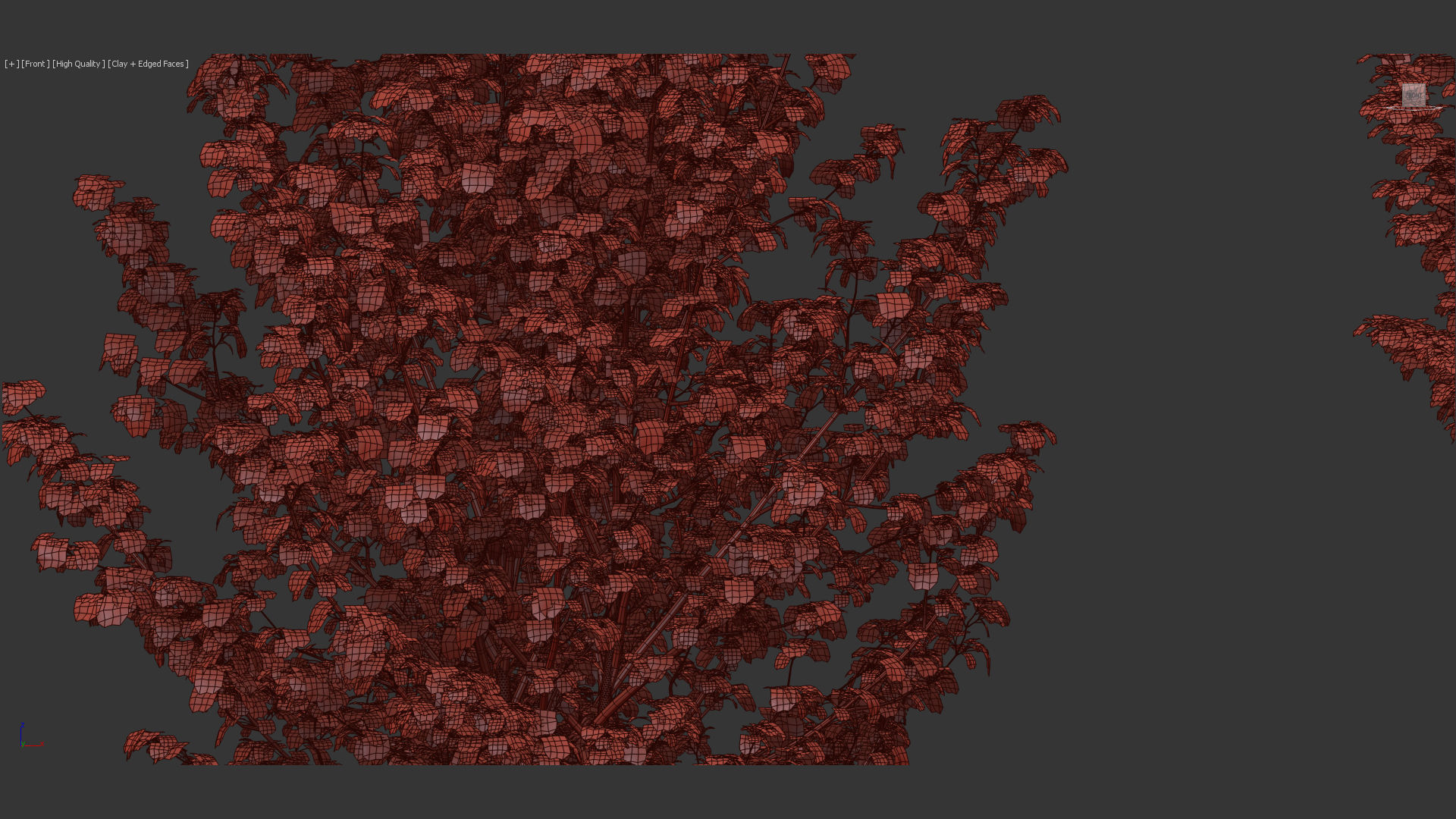 Acer pseudoplatanus Sycamore maple 3D model_10