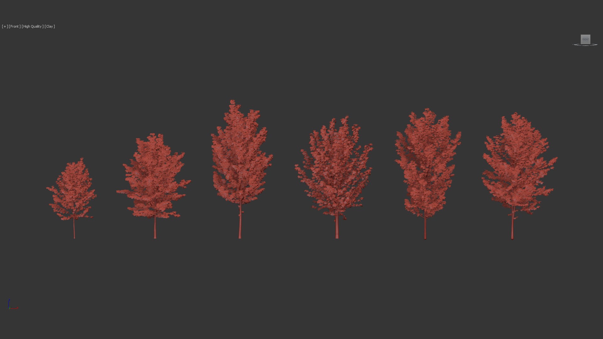 Acer pseudoplatanus Sycamore maple 3D model_11