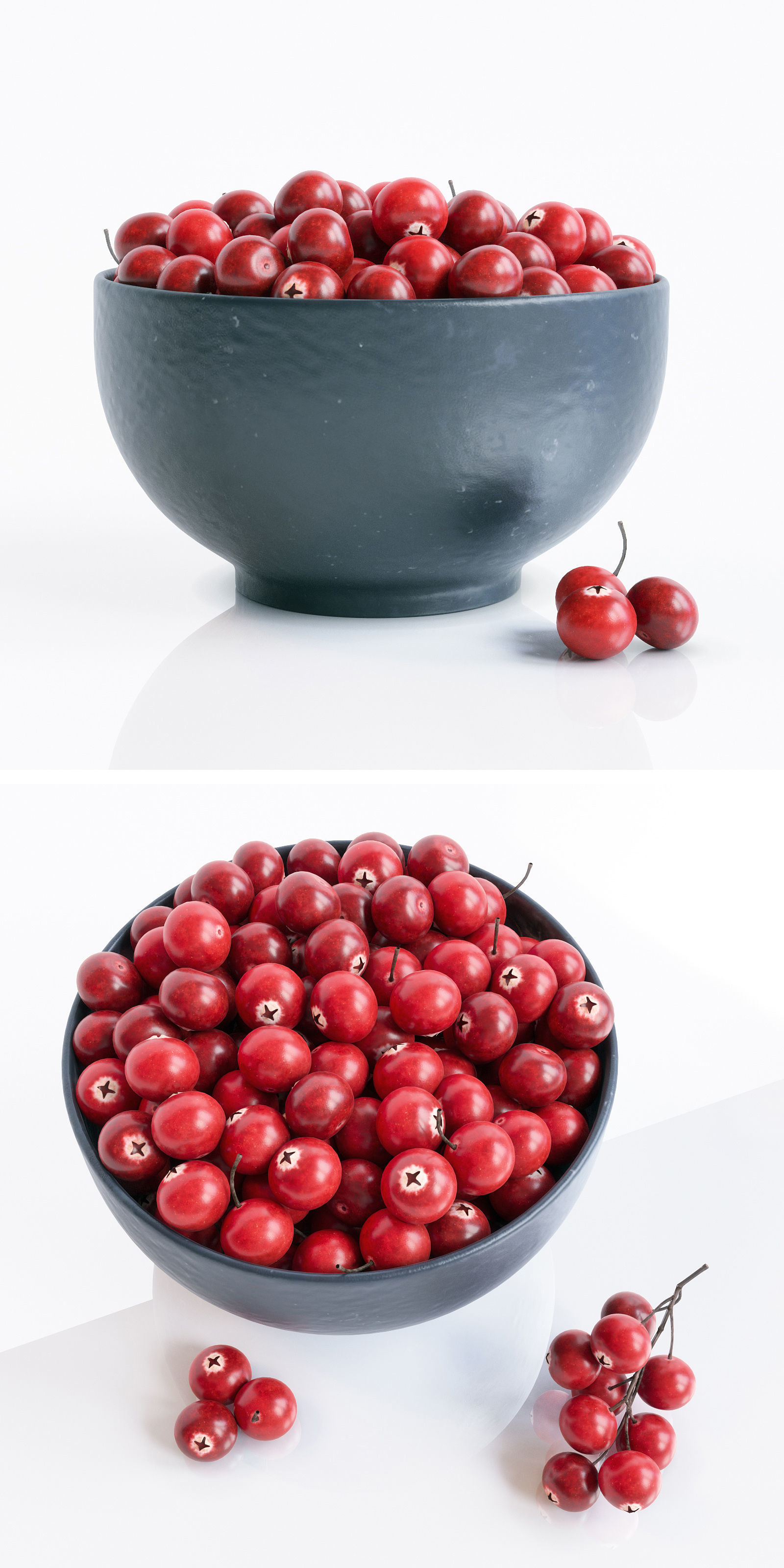 CranBerry 3D model_2