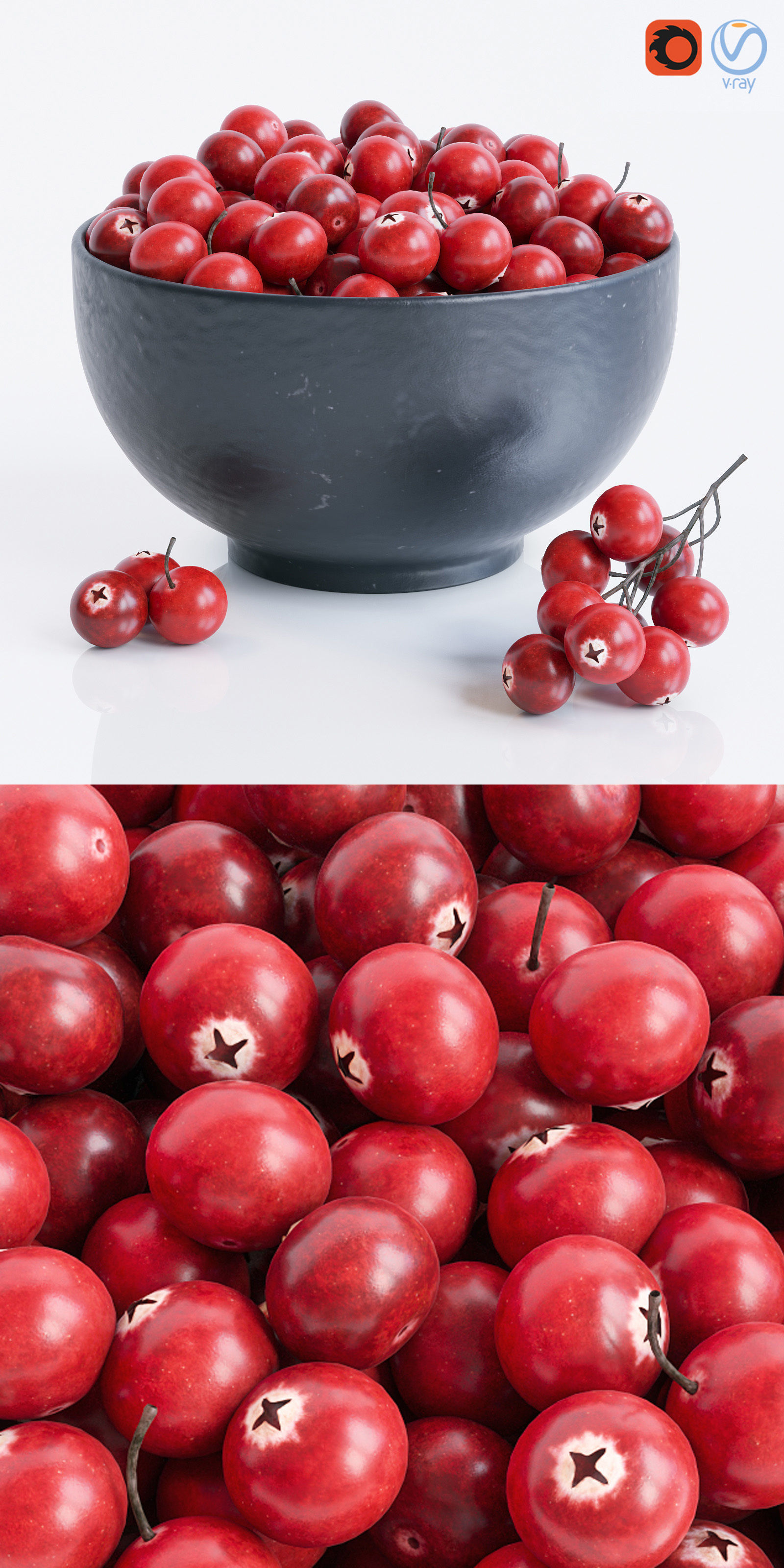 CranBerry 3D model_1