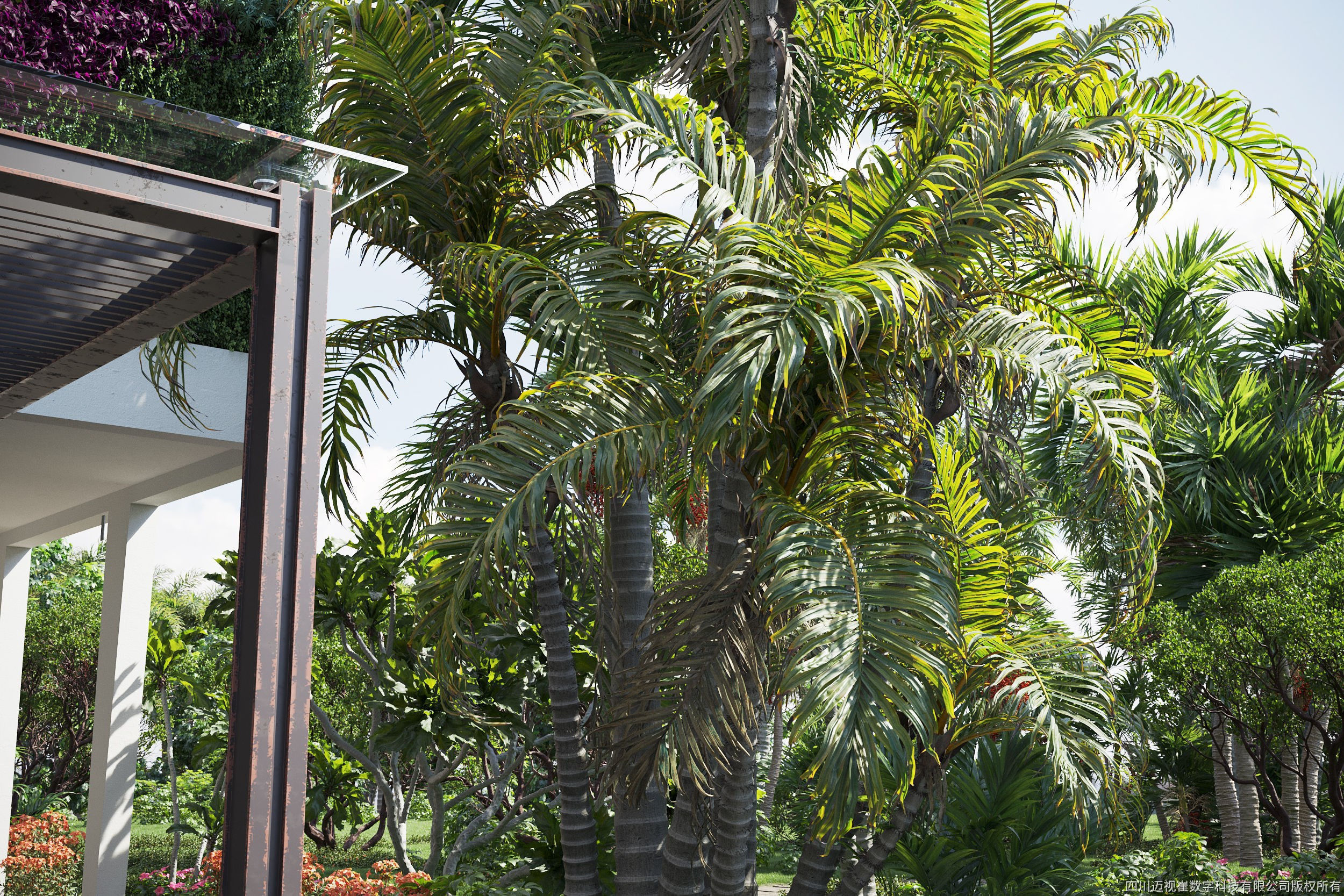 Maxtree Plant Models Vol 80 - Mesh 3D model_3