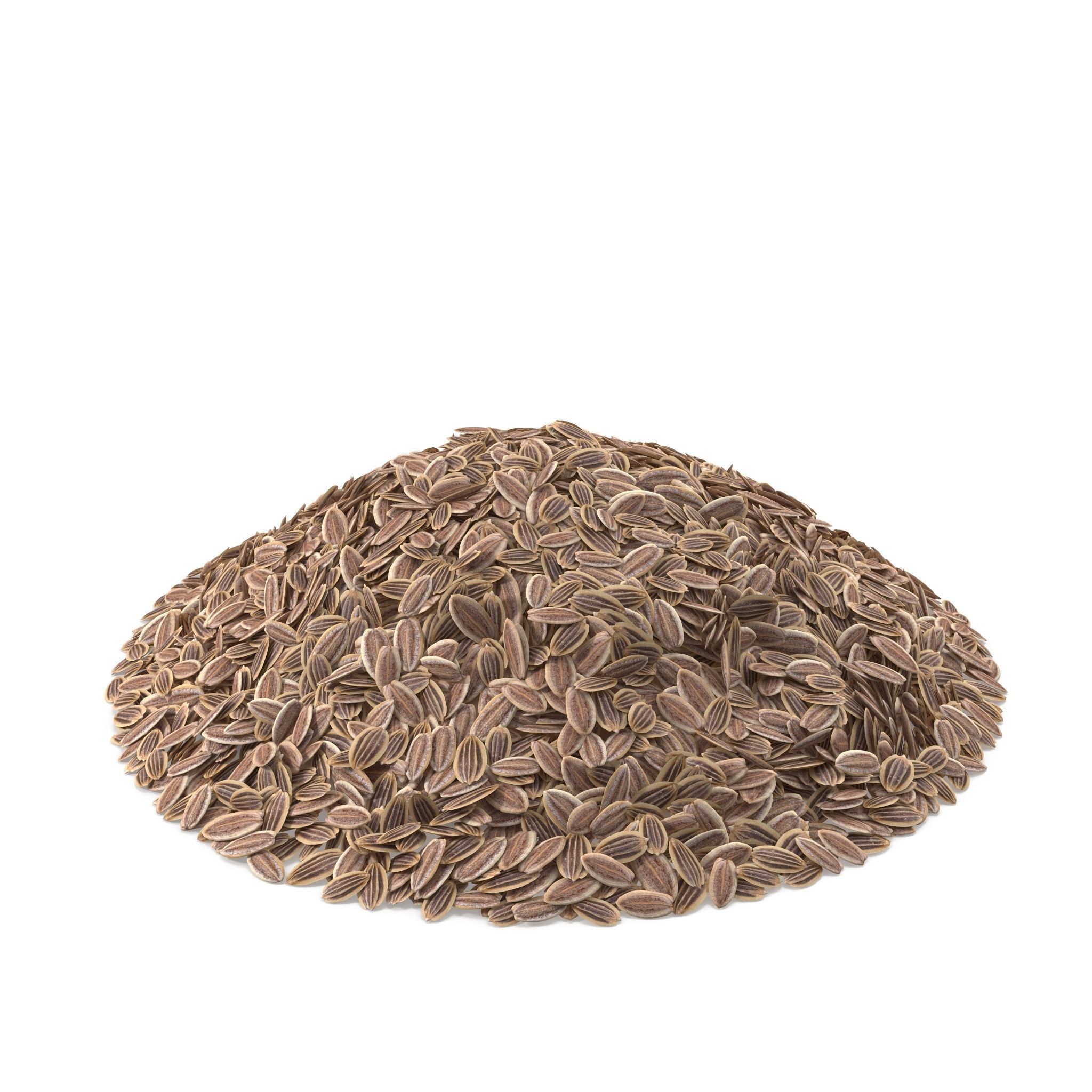 Dill Seeds 3D model_2