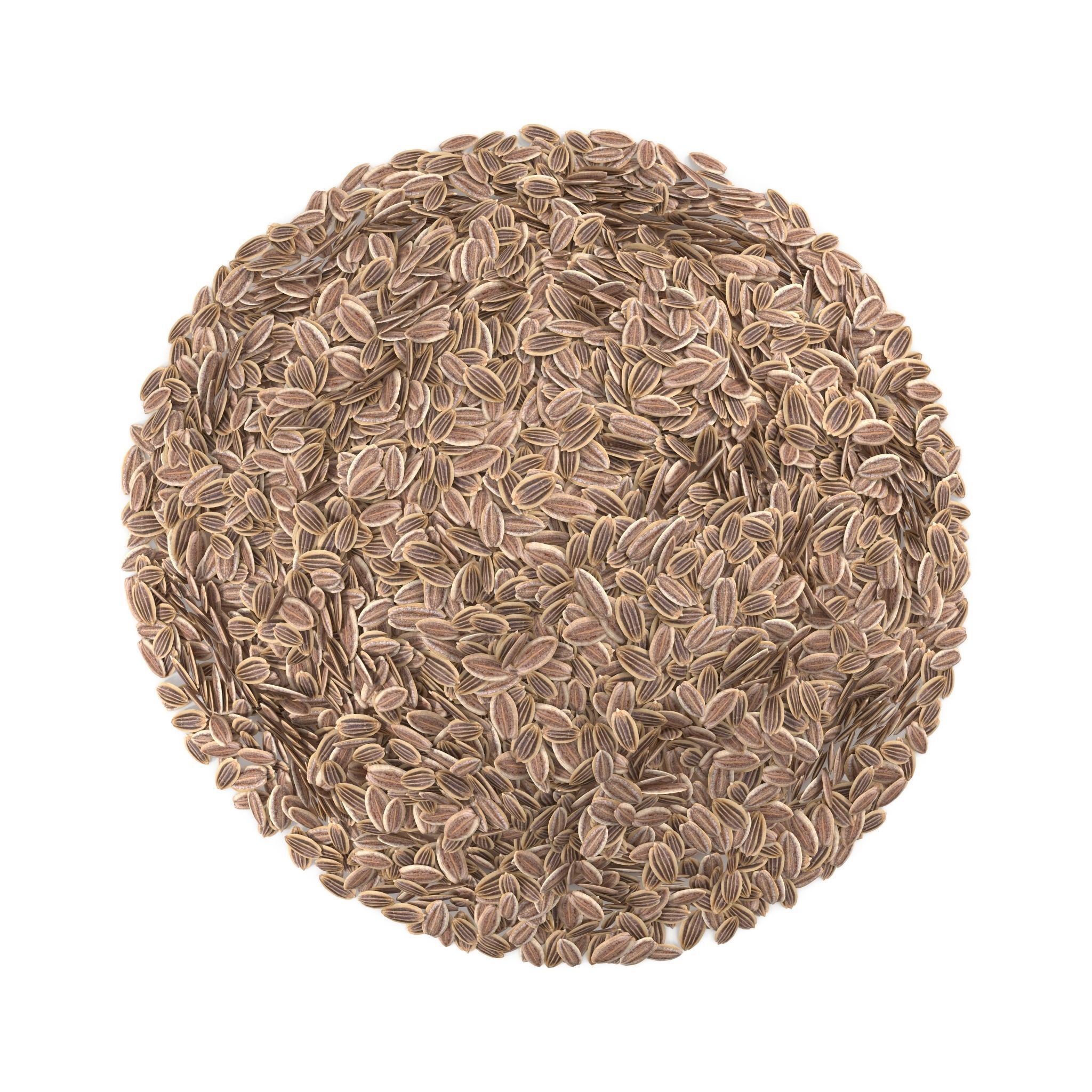 Dill Seeds 3D model_1