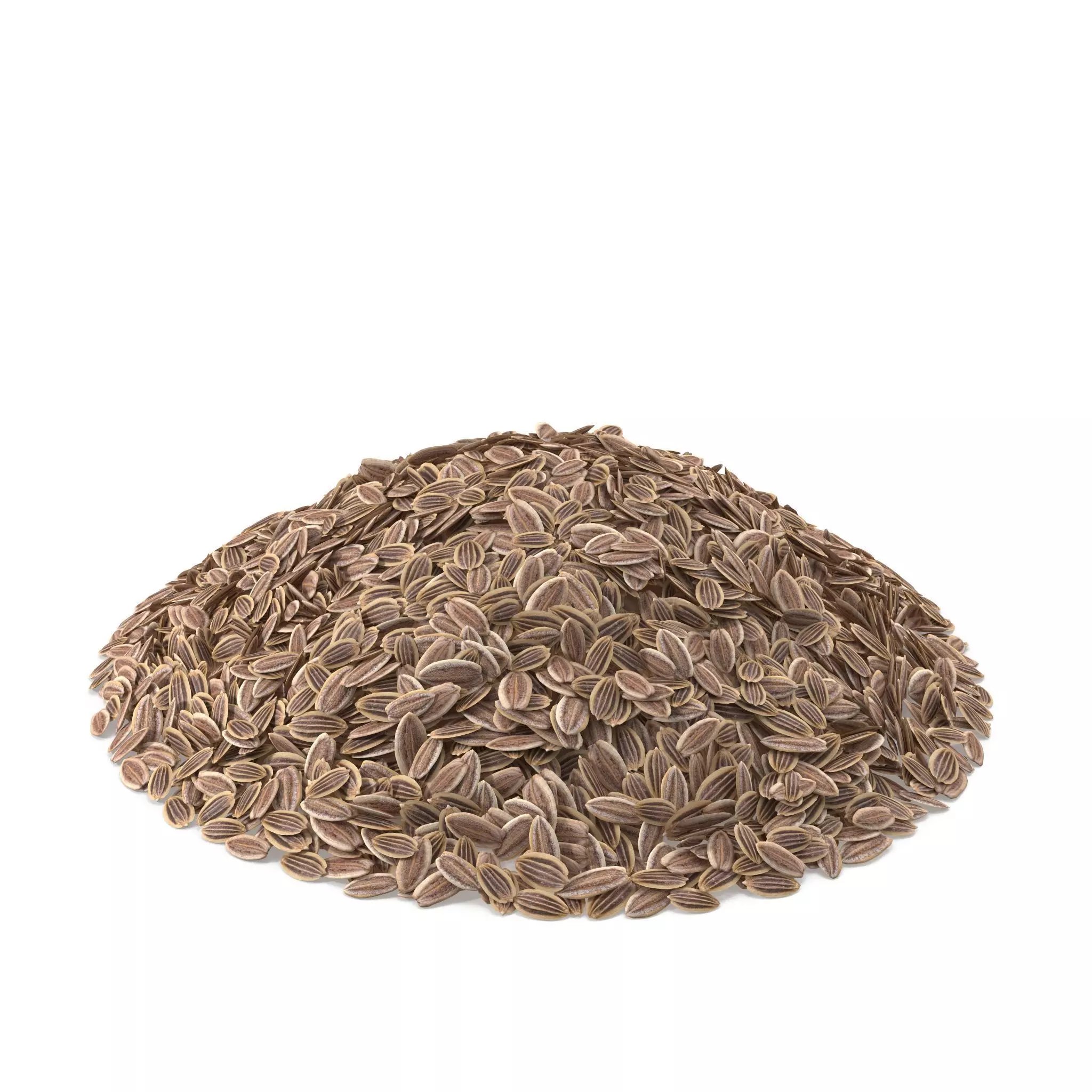 Dill Seeds 3D model_0