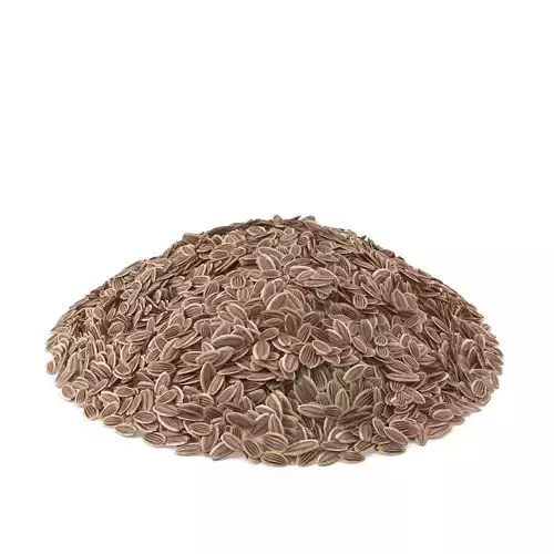 Dill Seeds 3D model
