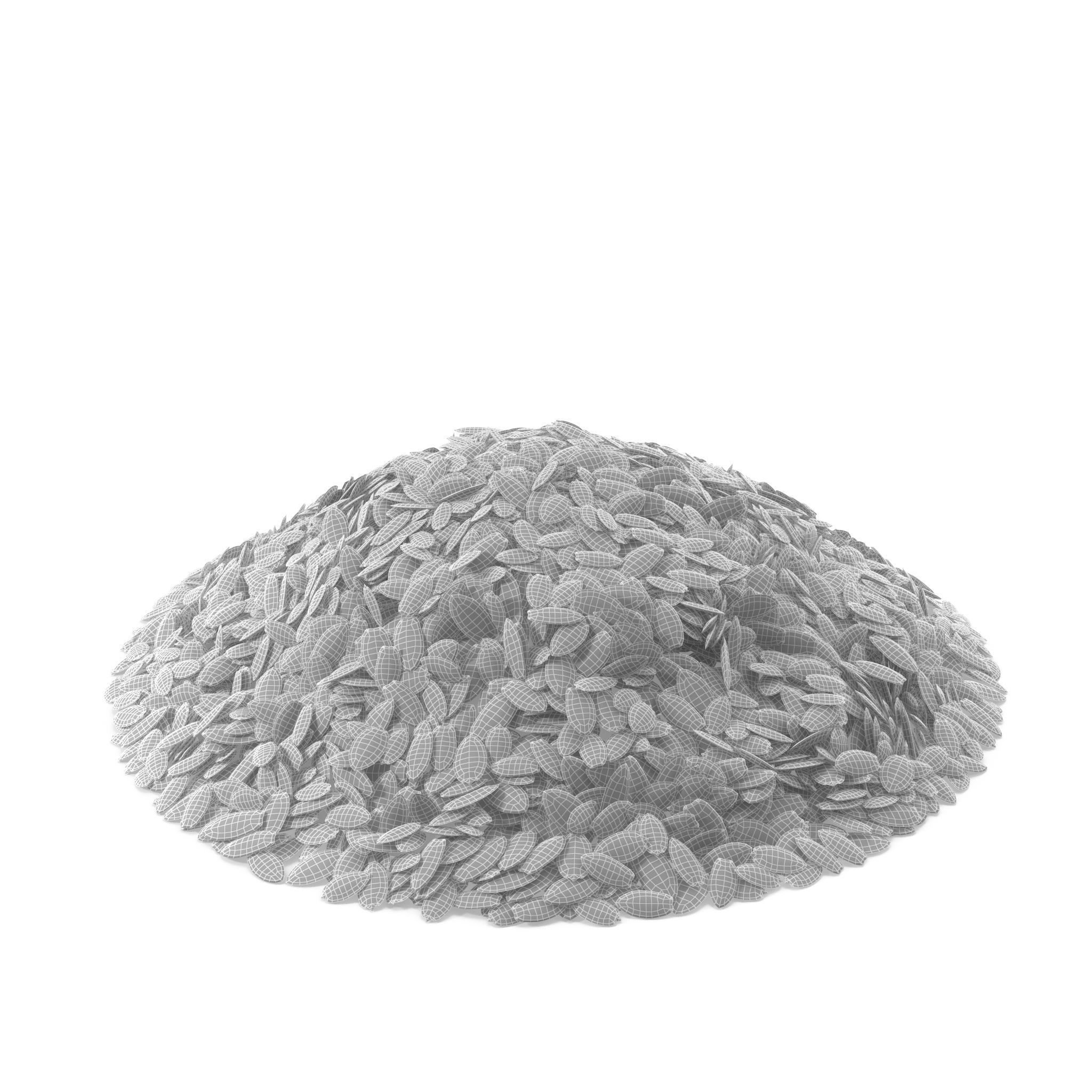 Dill Seeds 3D model_8