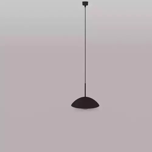 Ceiling Lamp in Metal Black