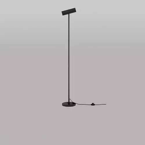 Metal Floor Lamp Black