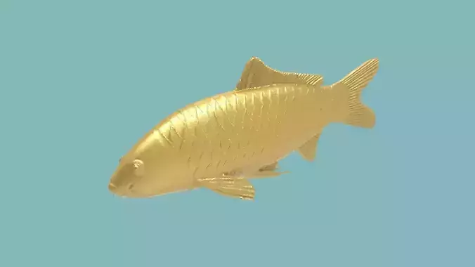 Koi Fish 3D Printing Model