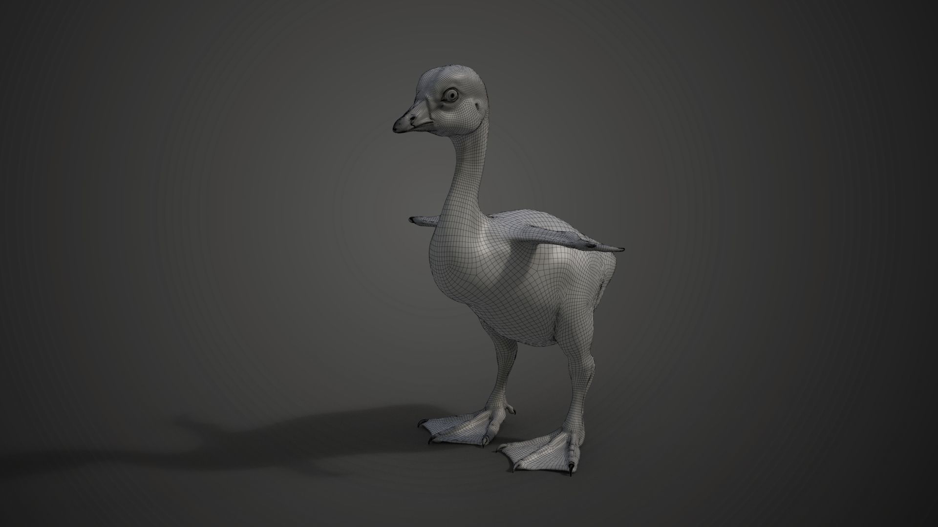Little Goose Animation VFX Grace 3D model_18