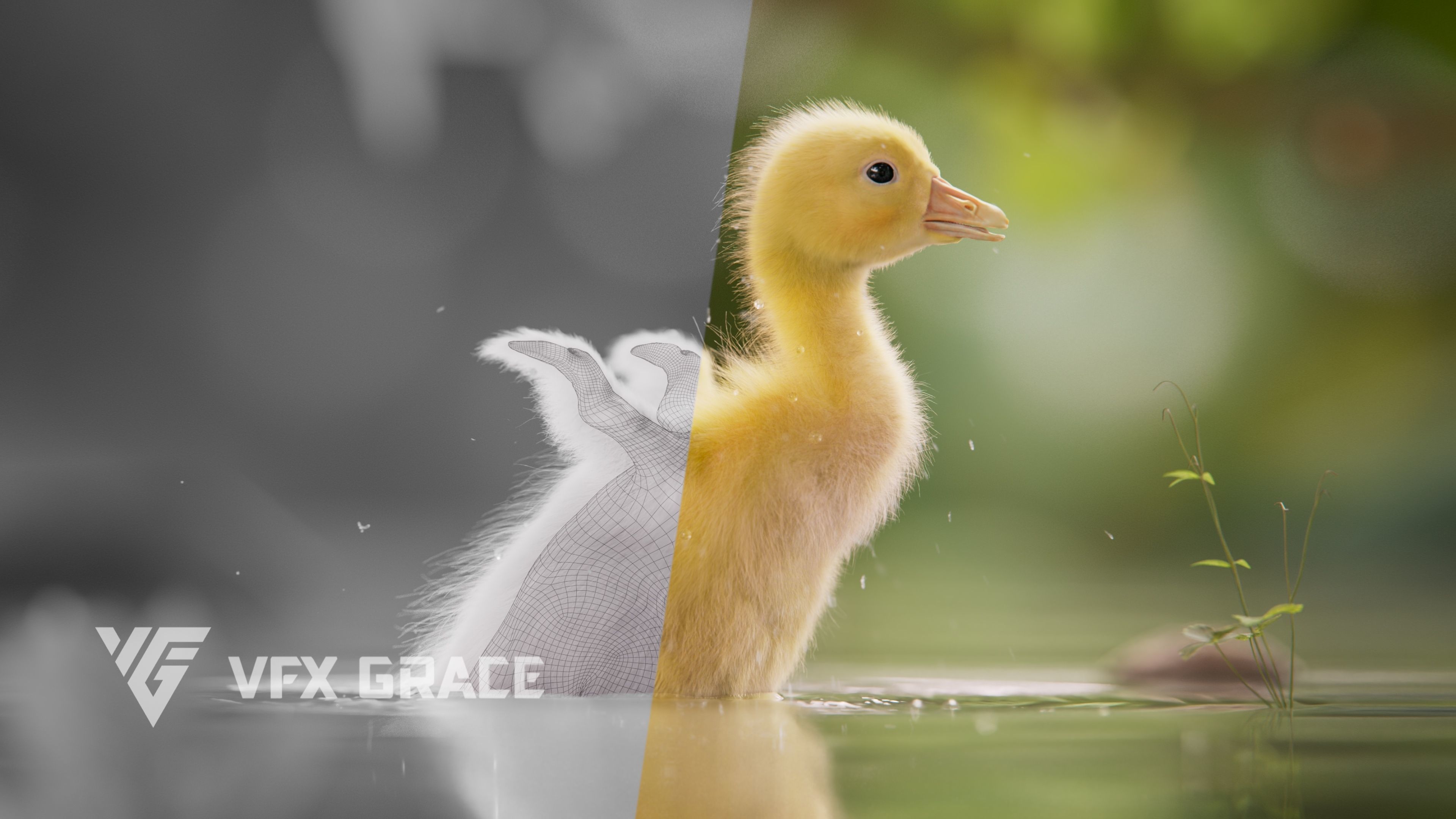 Little Goose Animation VFX Grace 3D model_6