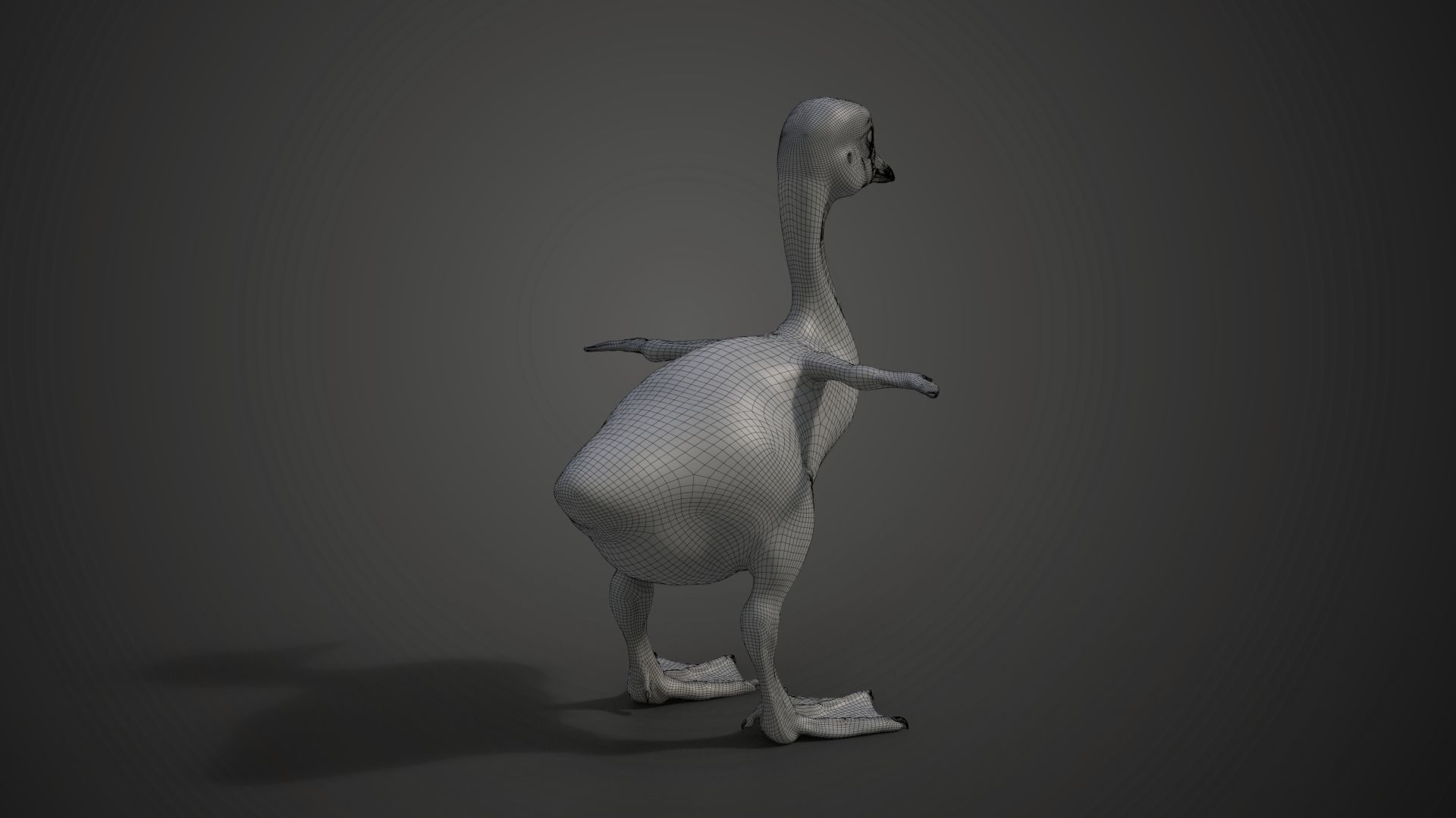 Little Goose Animation VFX Grace 3D model_20