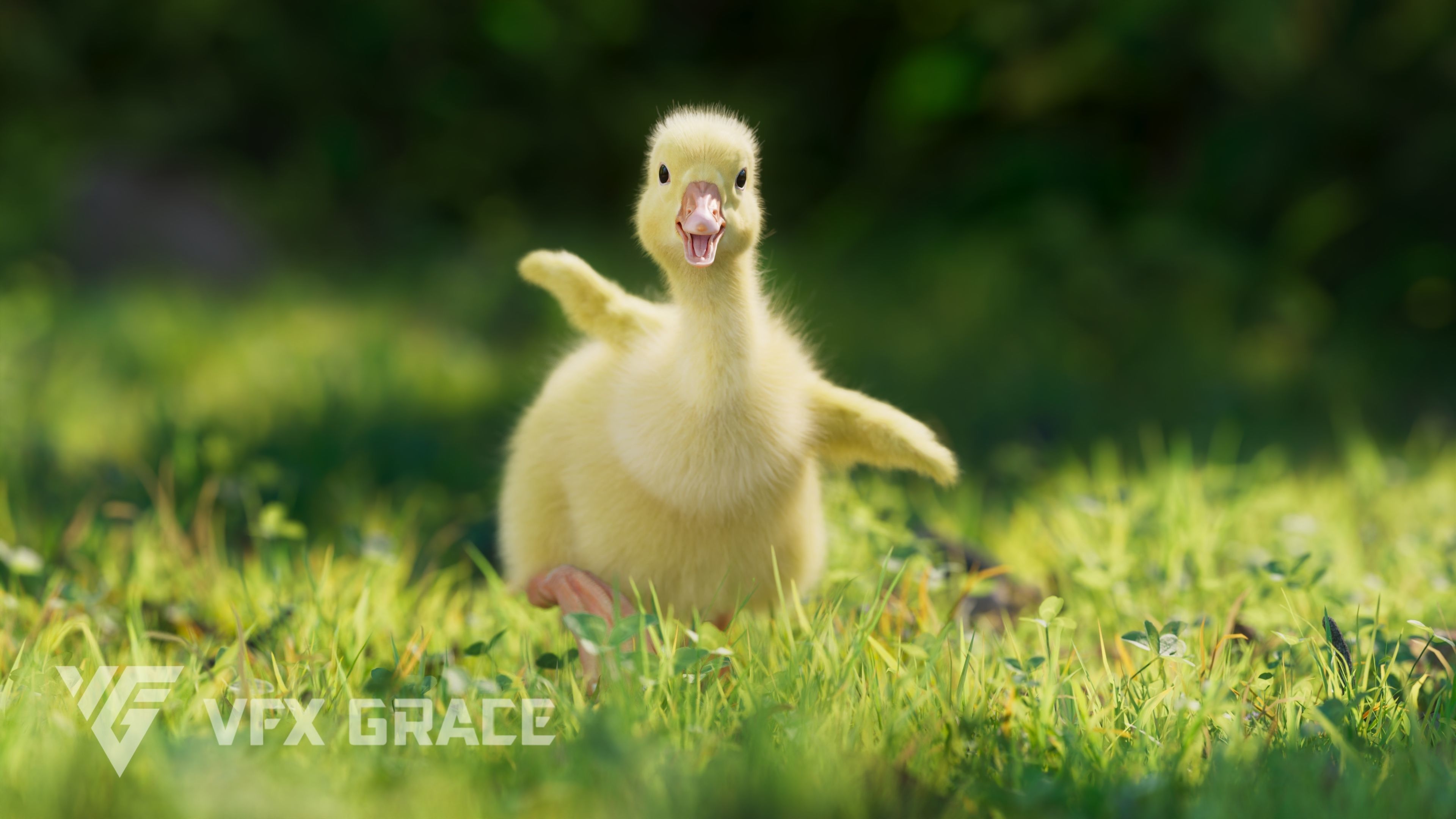 Little Goose Animation VFX Grace 3D model_7
