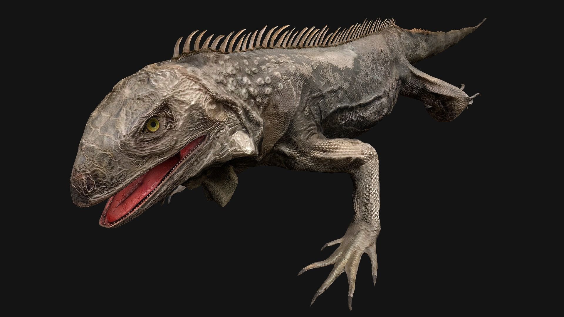 Reptile Crocodile Varan Iguana Low-poly 3D model_19