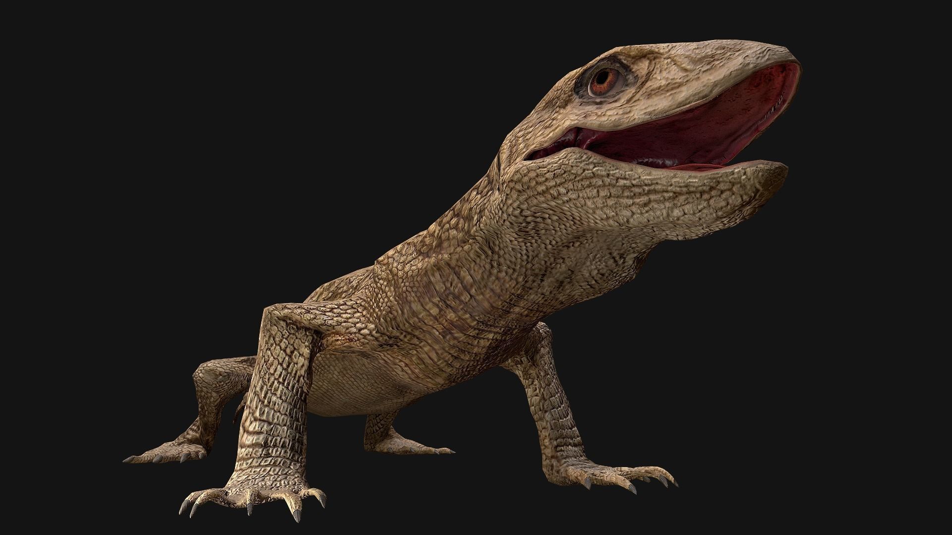 Reptile Crocodile Varan Iguana Low-poly 3D model_52