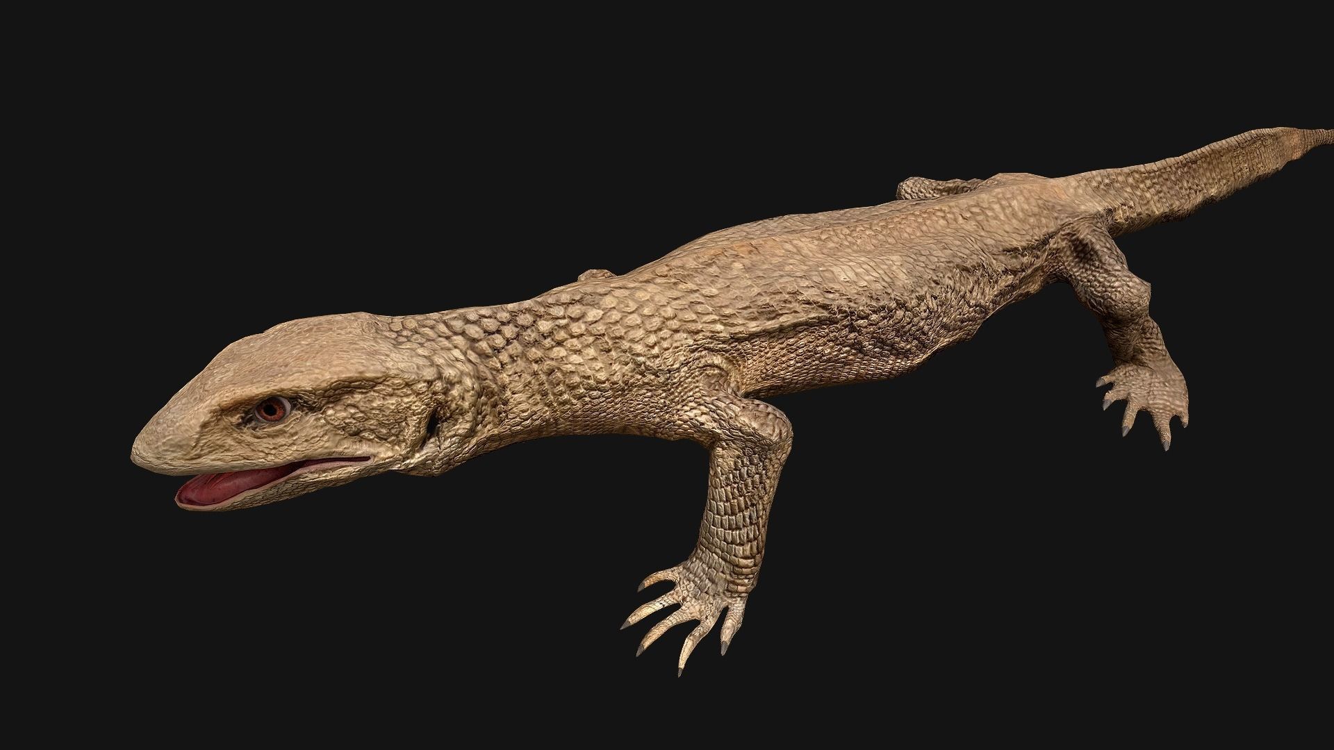 Reptile Crocodile Varan Iguana Low-poly 3D model_17